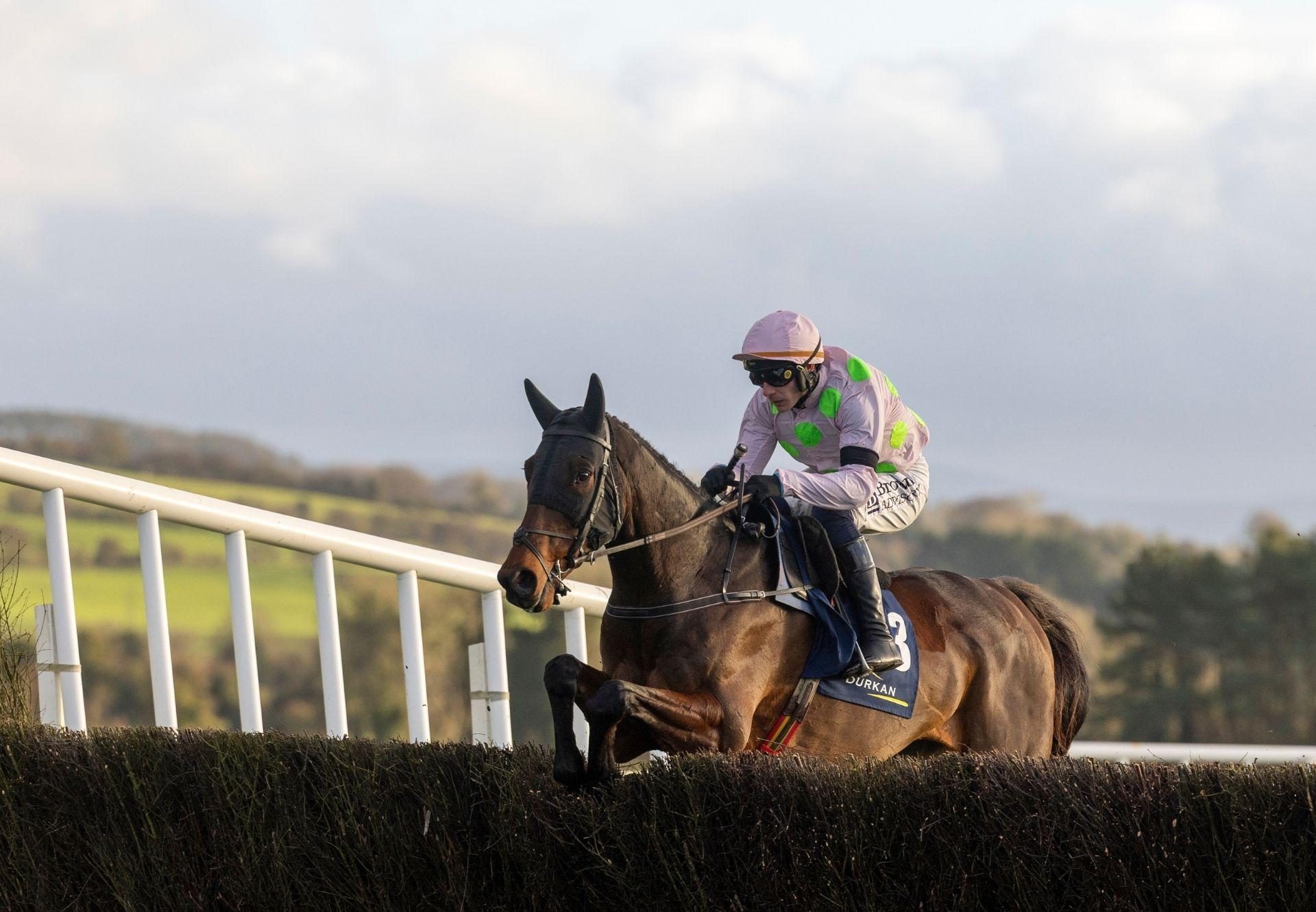 Gaelic Warrior Maxios Punchestown