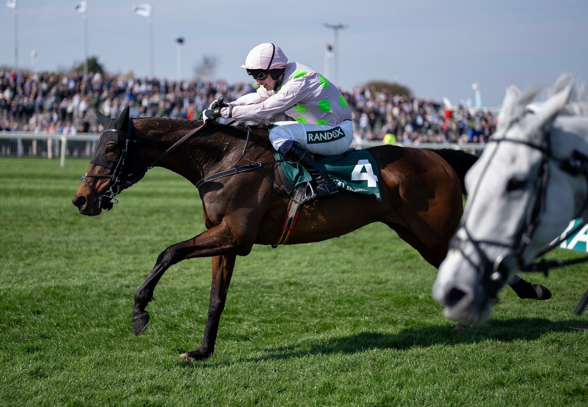 Gaelic Warrior (Maxios) Wins The Aintree Bowl