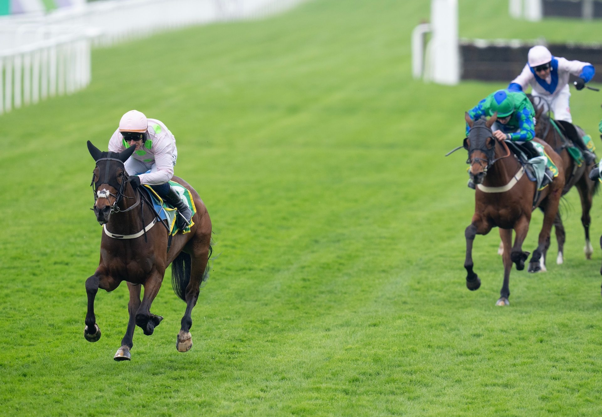 Gaelic Warrior (Maxios) Wins The Oaksey Chase