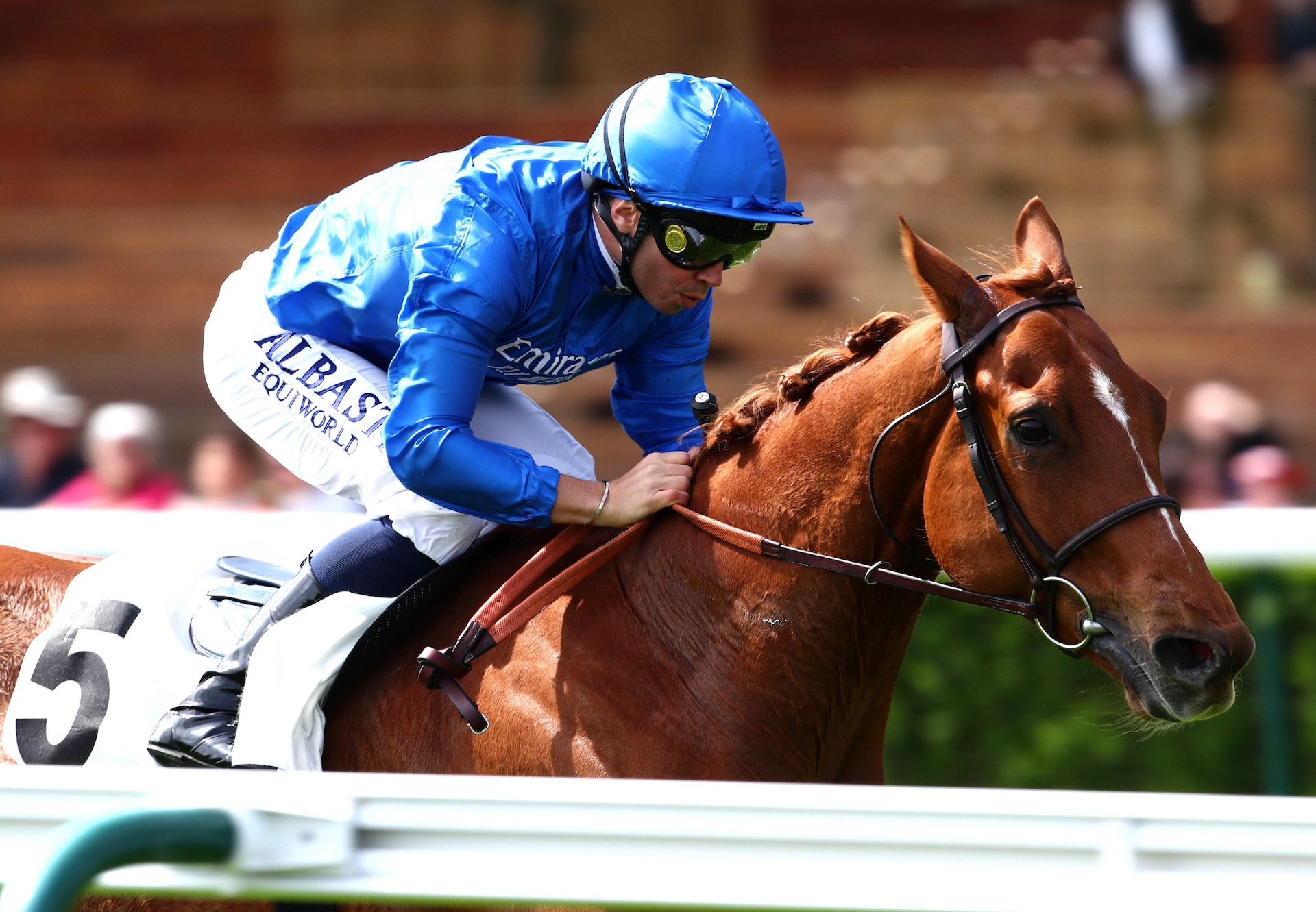 Galashiels (Australia) Wins The Prix Lord Seymour
