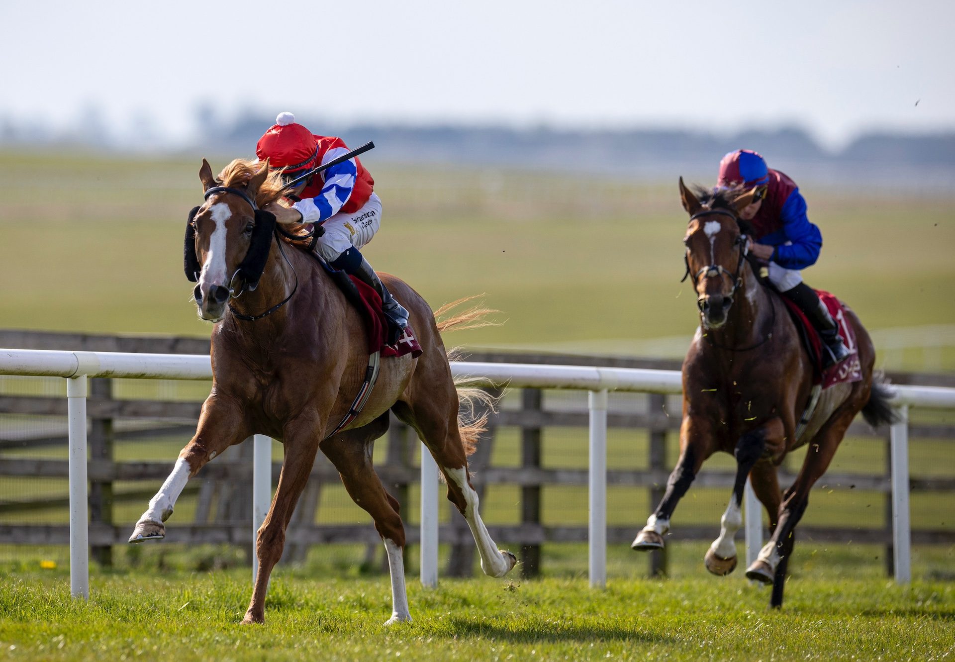 Galen (Gleneagles) Wins The Alleged Stakes