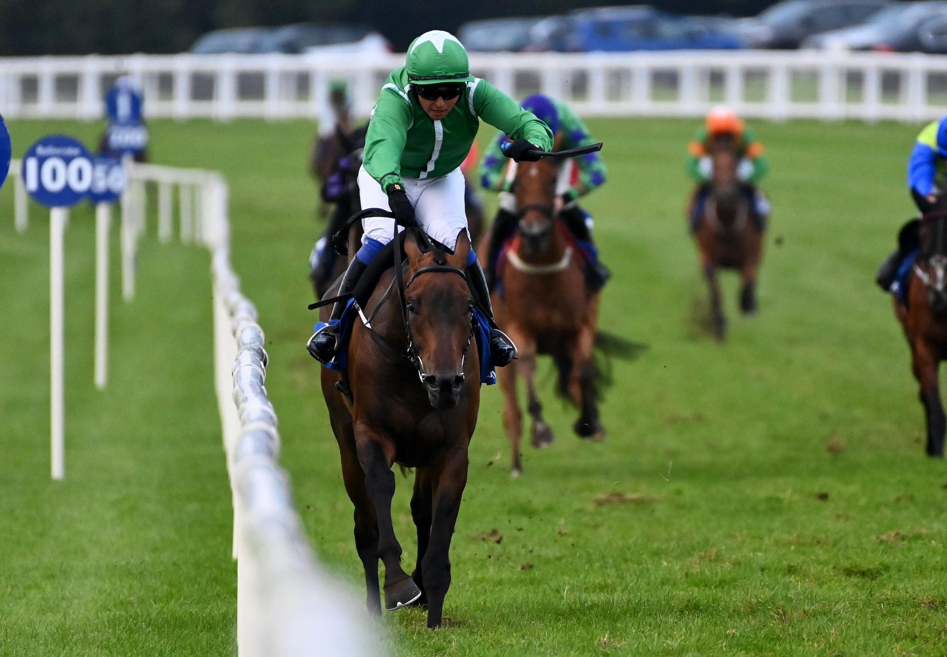 Gameball (Yeats) Wins On Debut At Ballinrobe