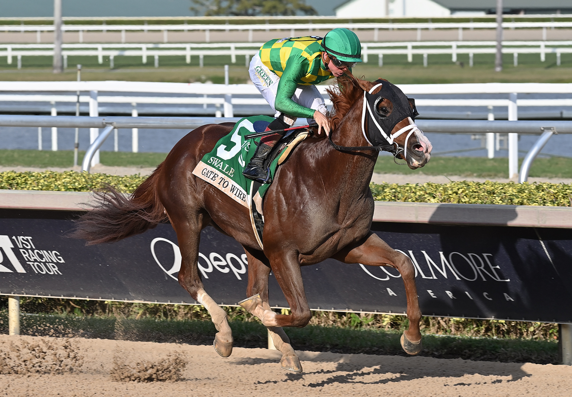 Gate To Wire (Munnings) Wins Swale
