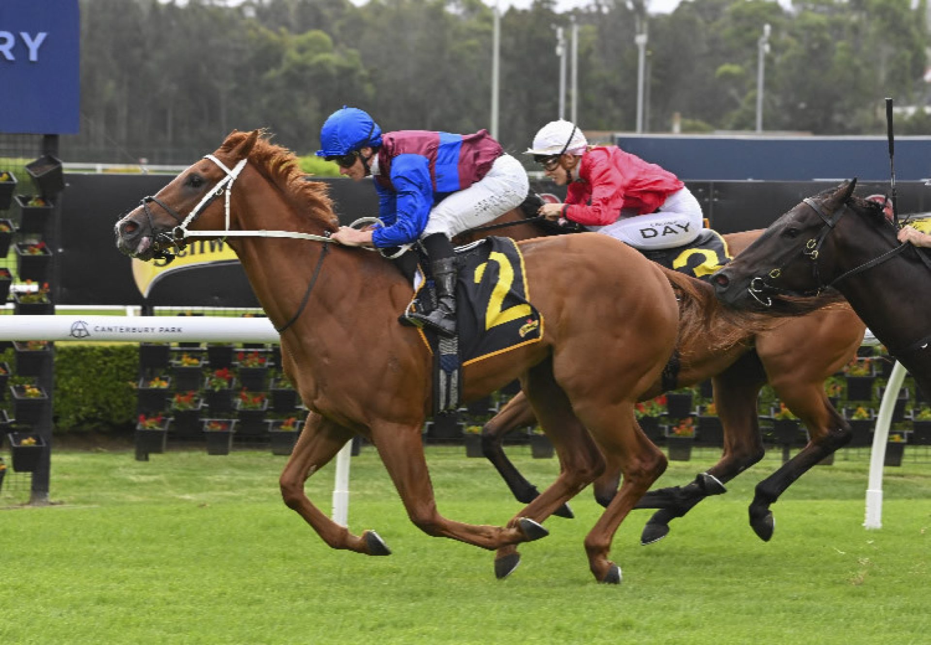 Gatekeeper (Justify) Canterbury 750