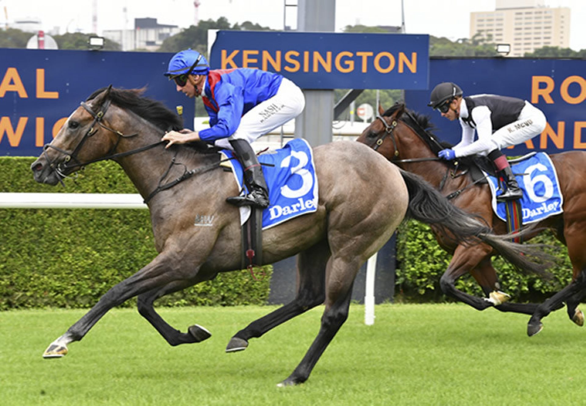 Getafix (Calyx) winning at Randwick