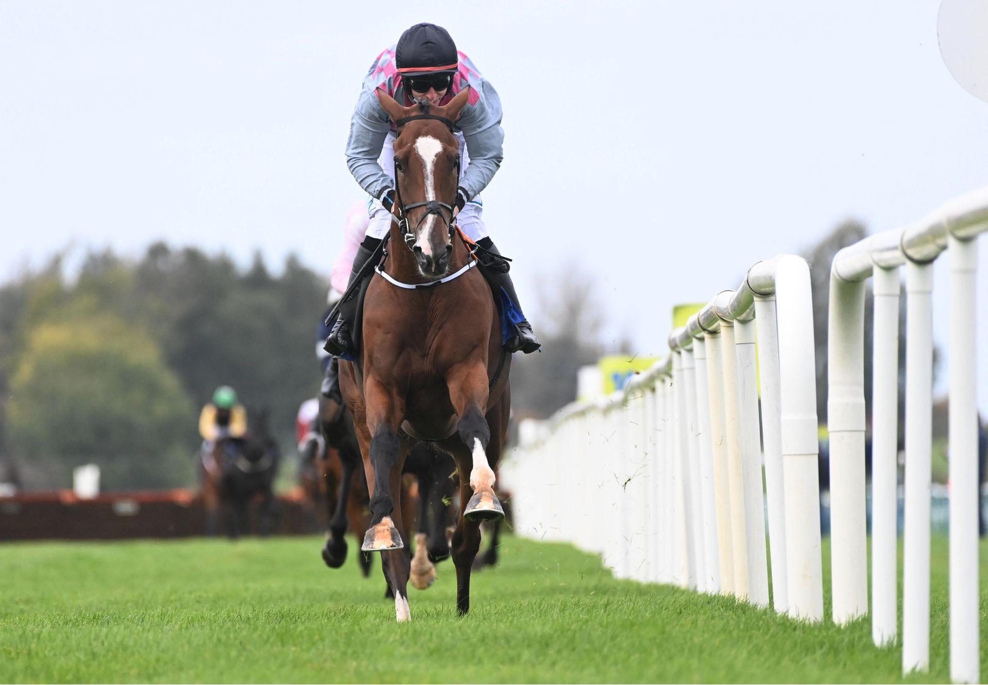 Getaway Beo Getaway Tipperary