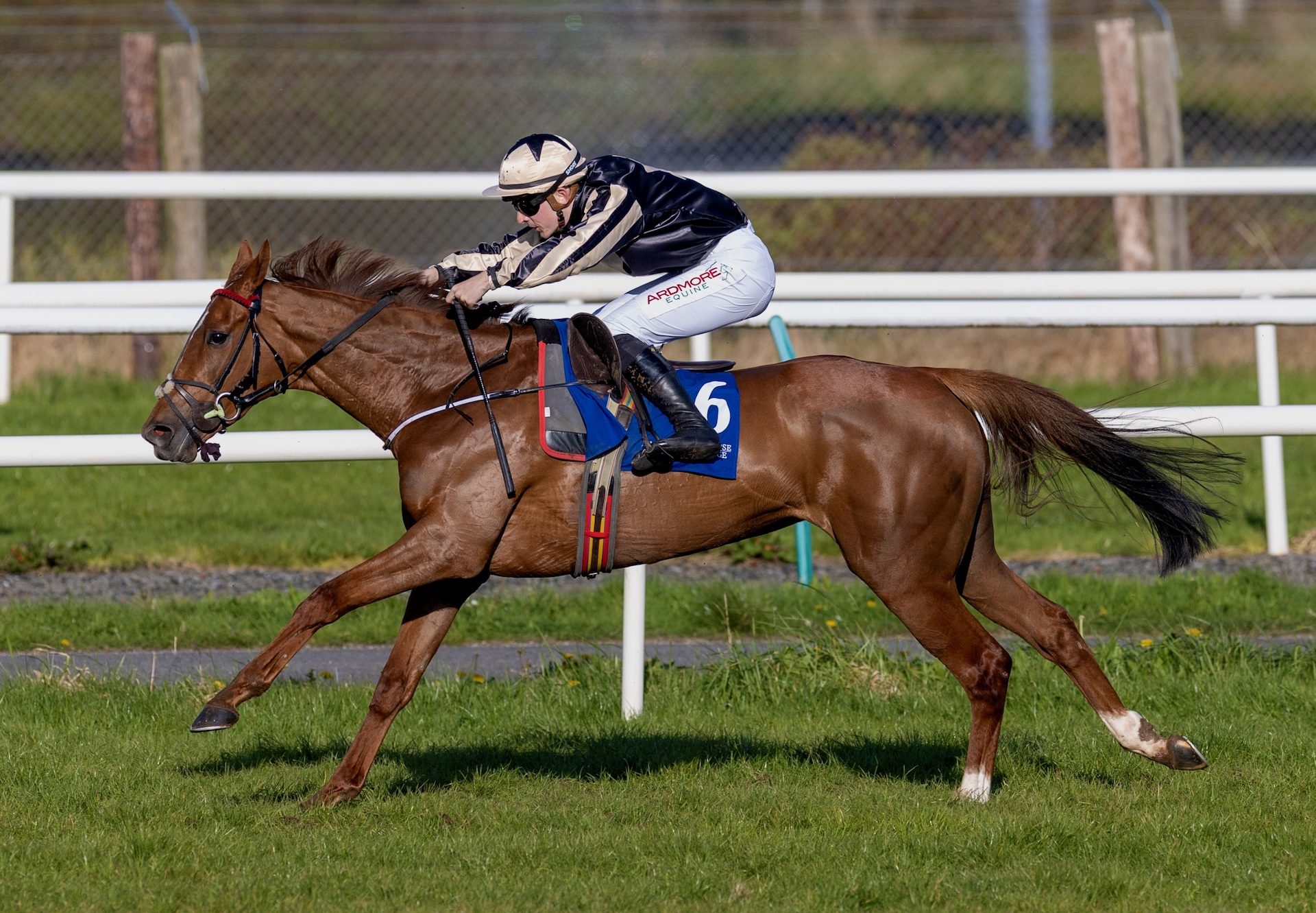Good Girl Kathleen (Getaway) Wins The Mares Bumper At Limerick