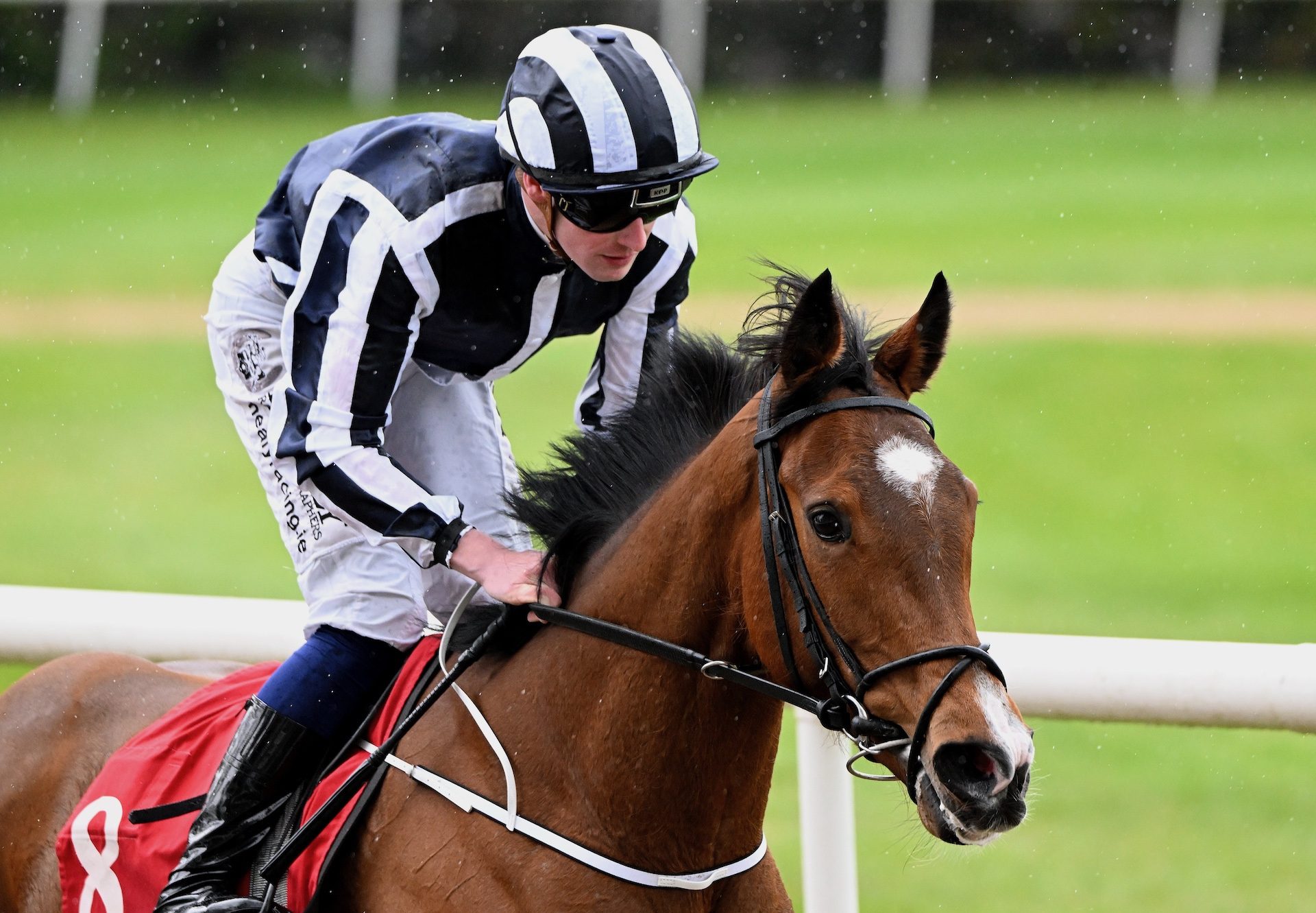 Gotomylovely (Camelot) Wins At Gowran Park