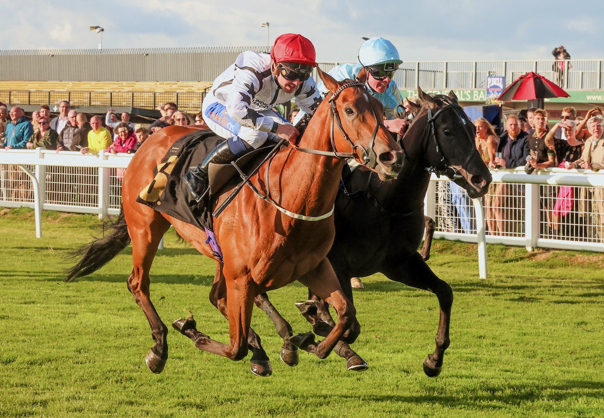 Greek Gift (Magna Grecia) Gets Off The Mark