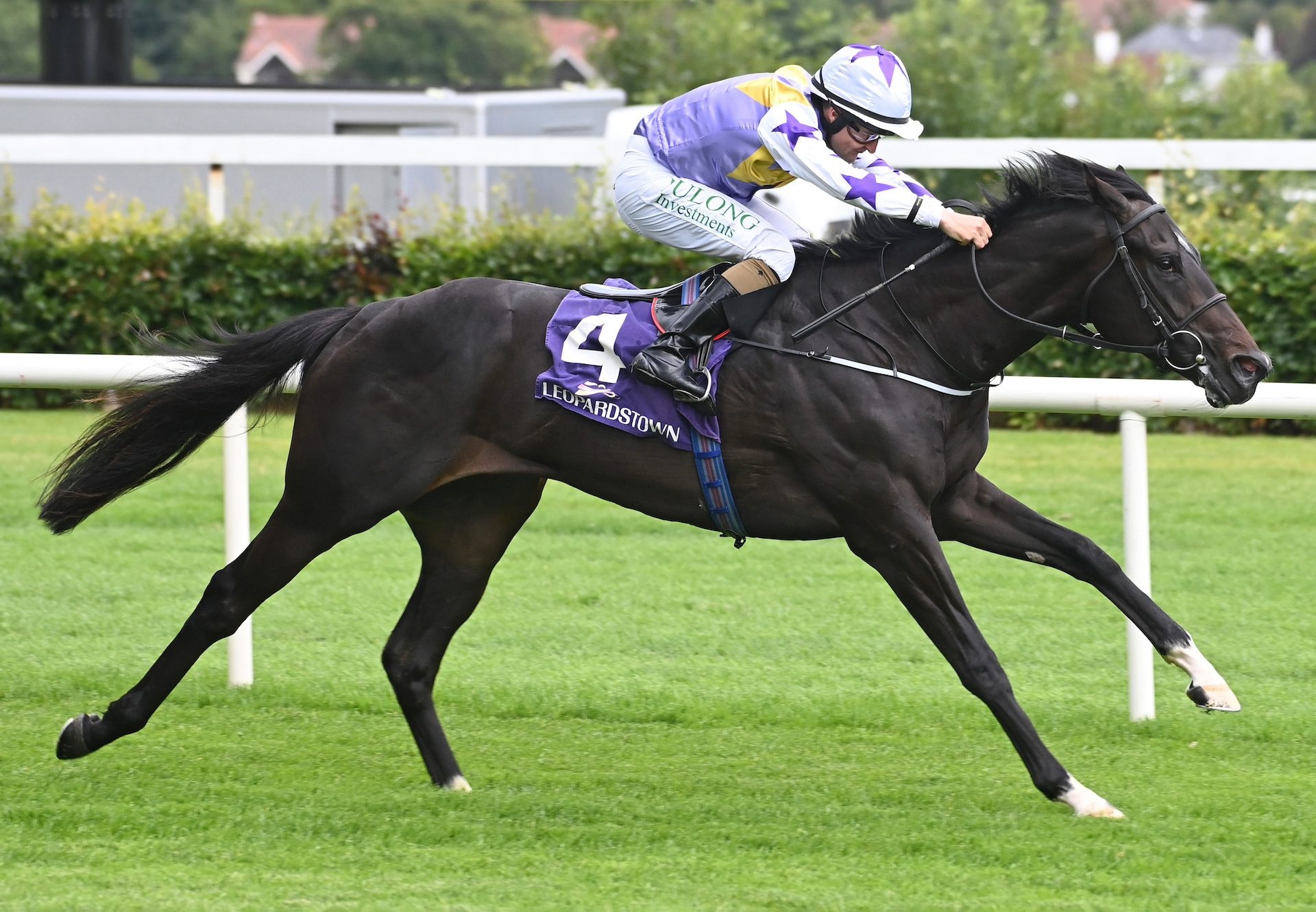 Green Impact (Wootton Bassett) Wins A Leopardstown Maiden