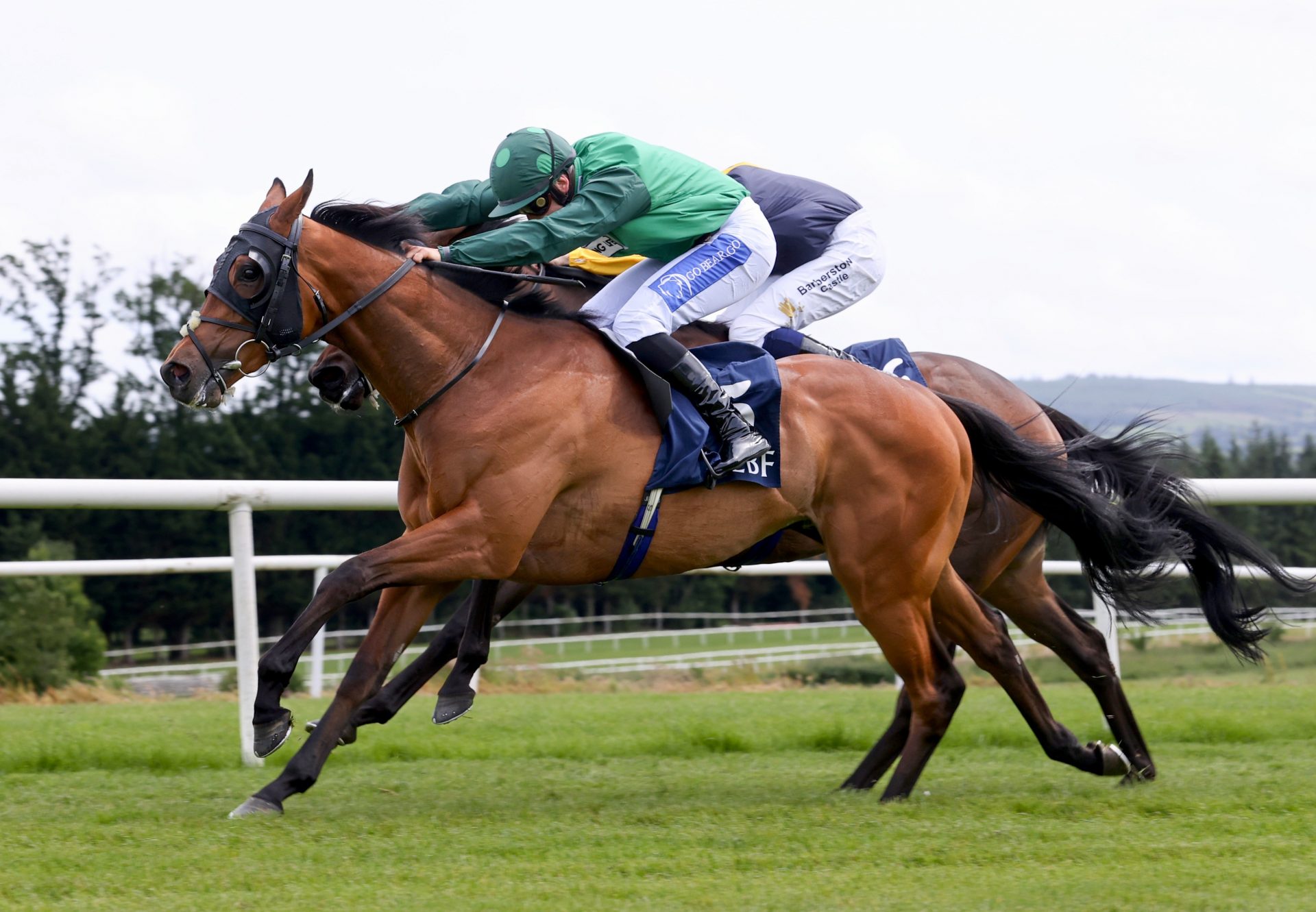 Green Triangle (gleneagles)  Wins The Irish Stallion Farms Ebf Gowran