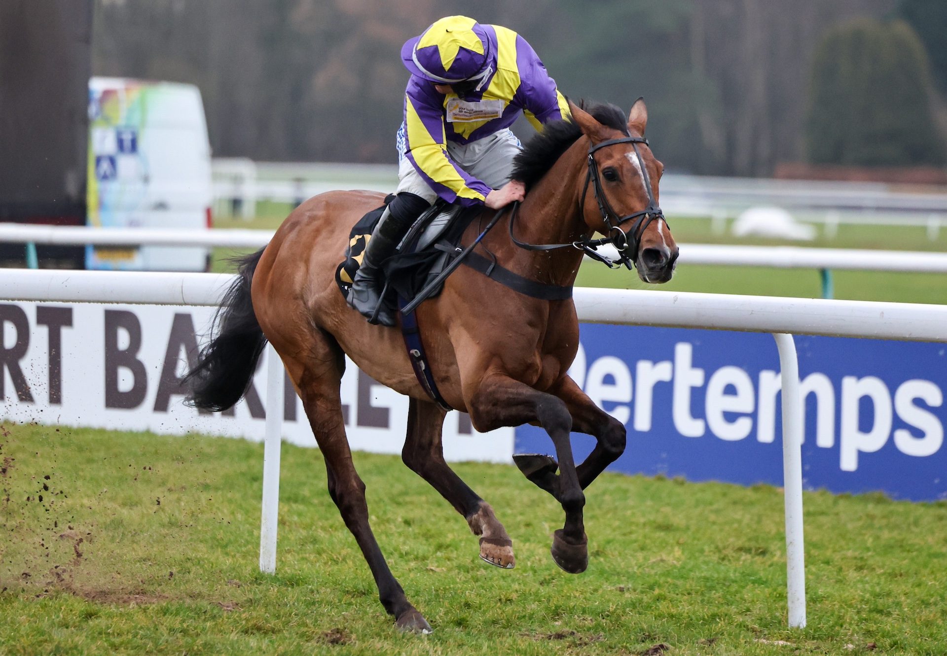 Gwennie May Boy (Mahler) Impresses In The Grade 2 Rendlesham Hurdle