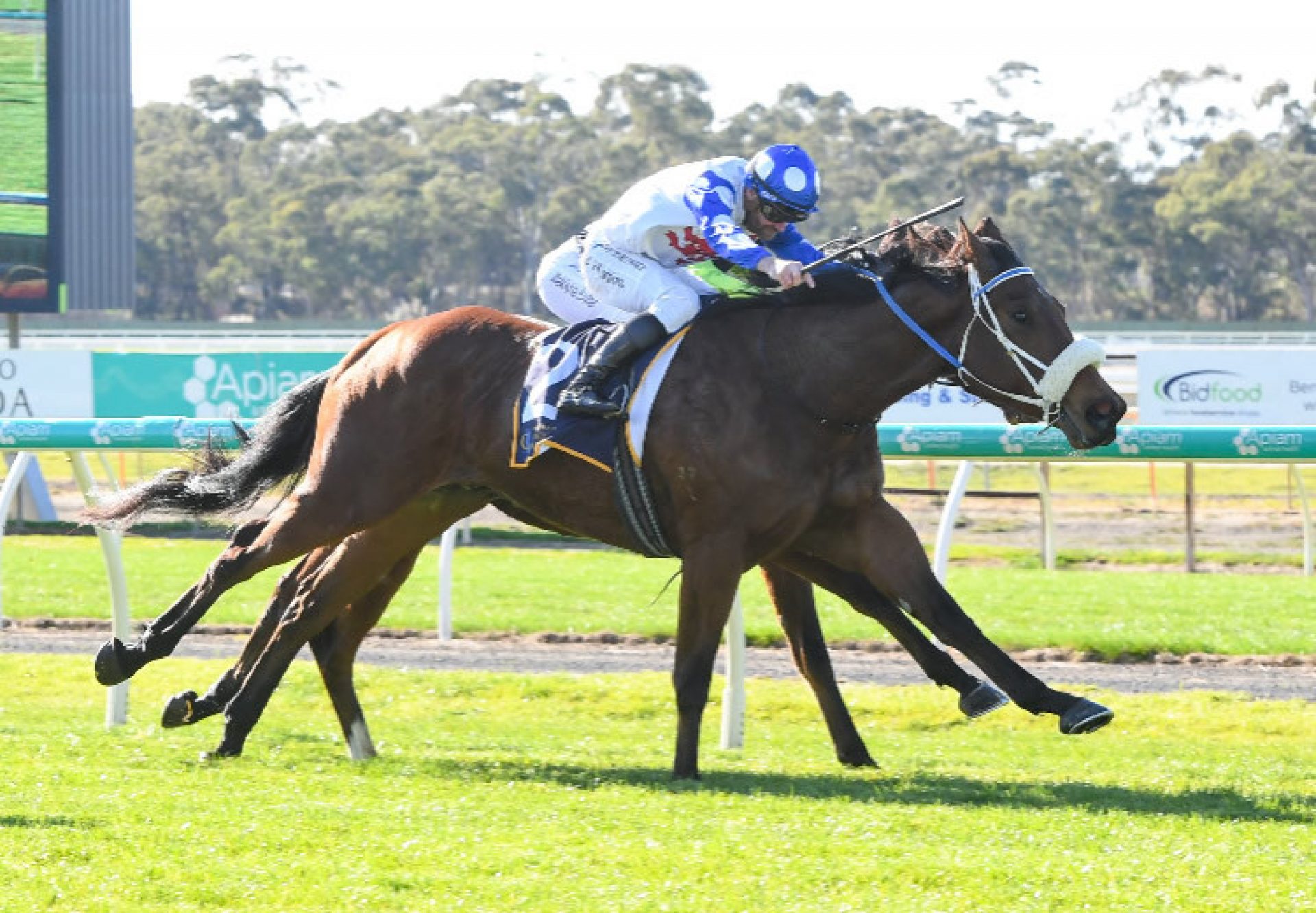 Hazey Hill (Churchill) Bendigoo750