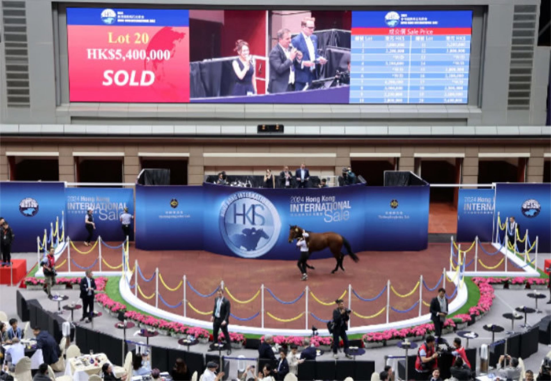 Starspangledbanner ex Wowcha gelding sells for HK$5.4 million