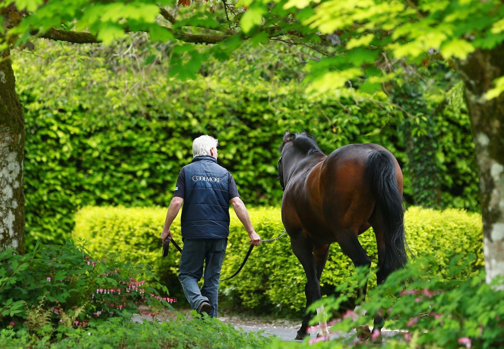 Holy Roman Emperor Carousel