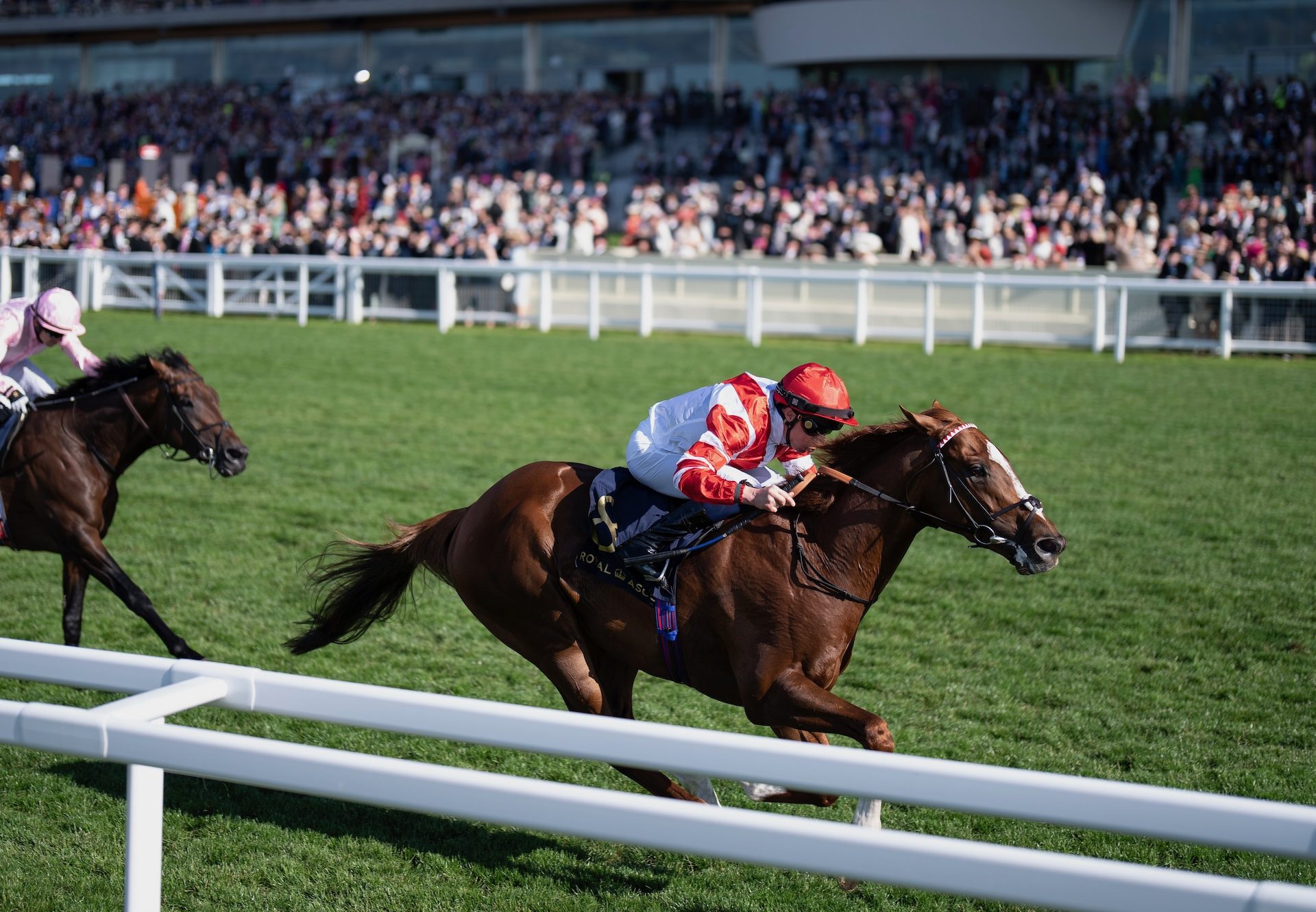 Hand Of God (Churchill) Wins The Golden Gate Stakes