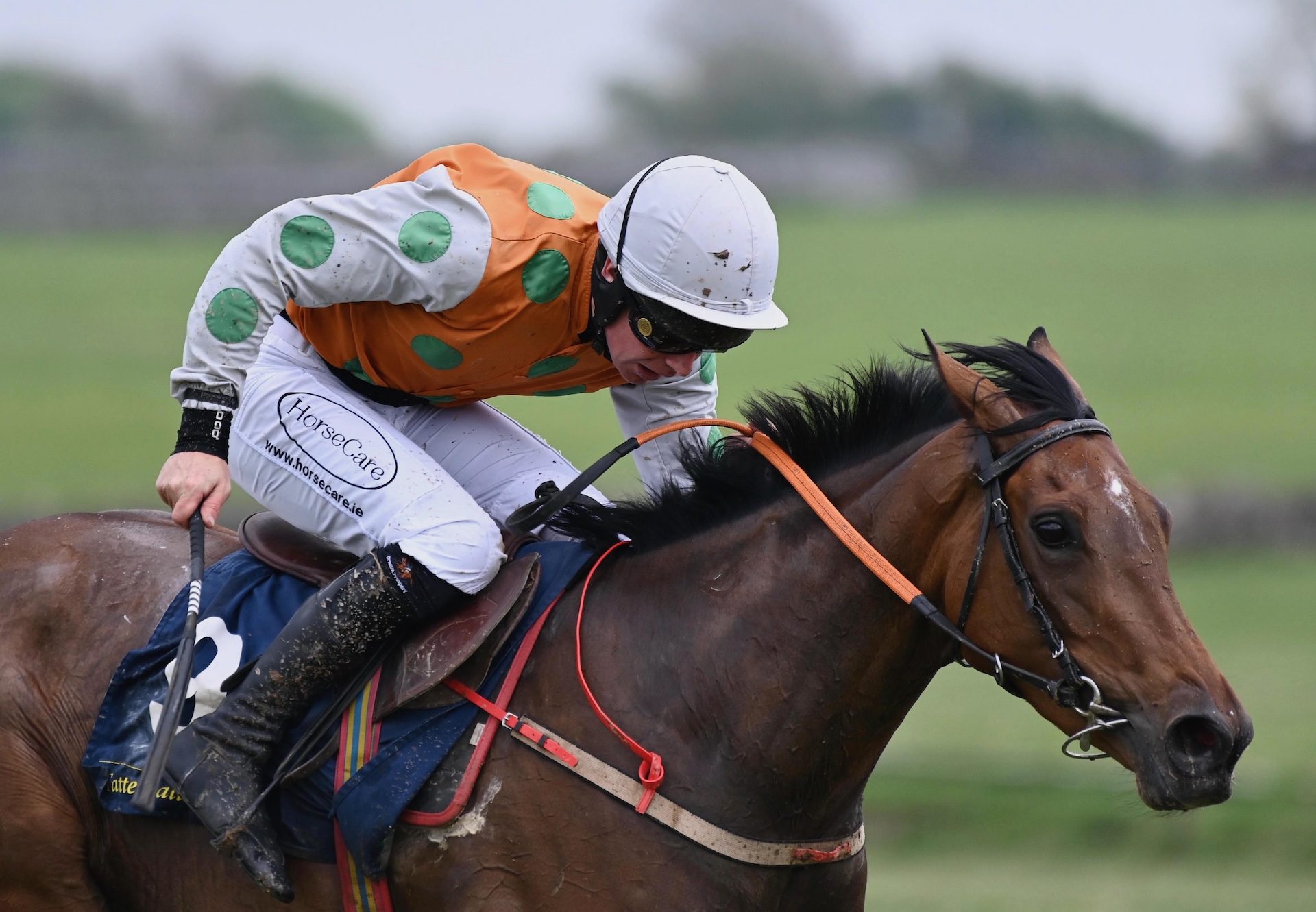 Hard Dealt (Walk In The Park) Wins On Debut At Loughrea