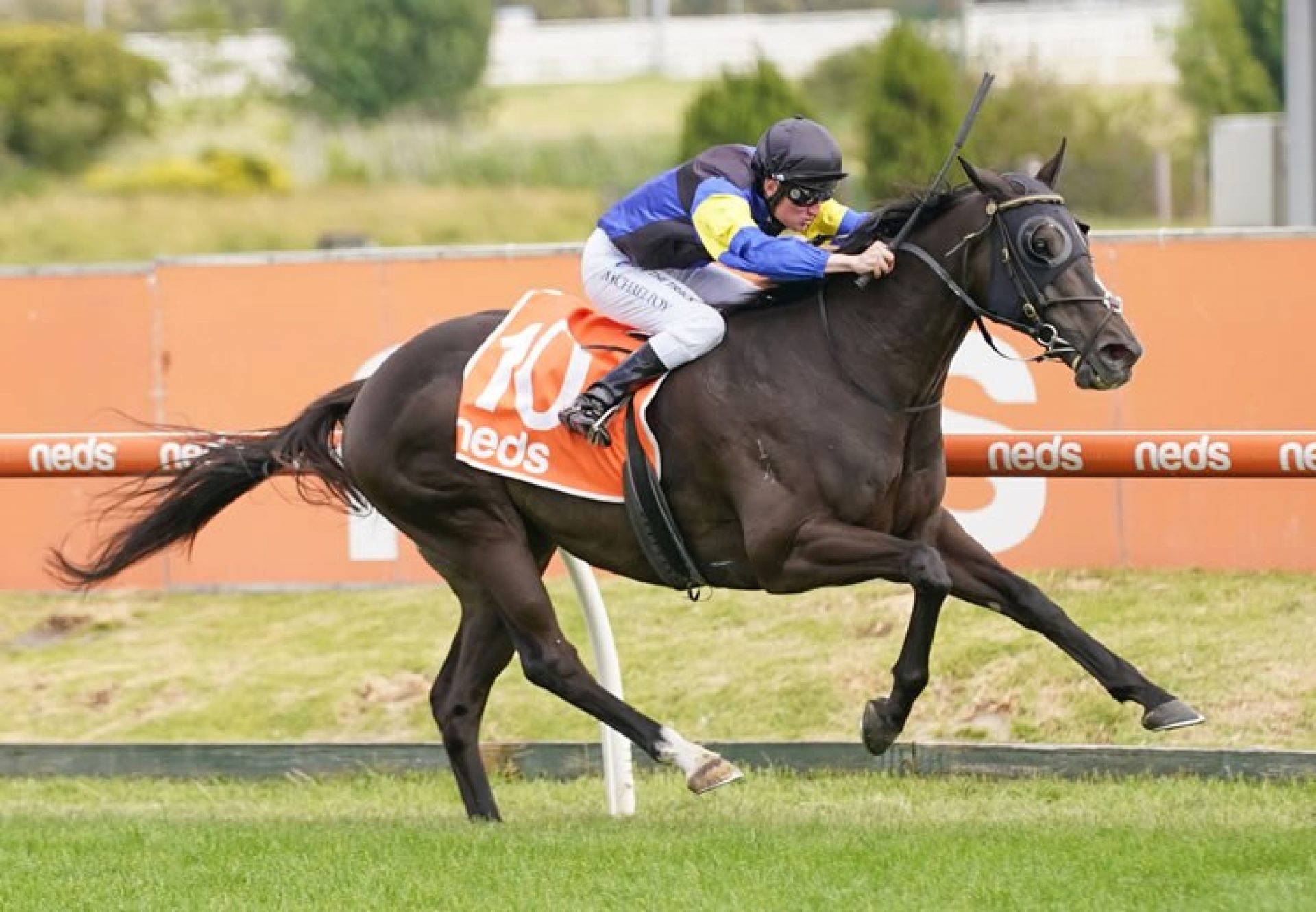 Holbien (Pierro) winning the Listed Lord Stakes at Caulfield