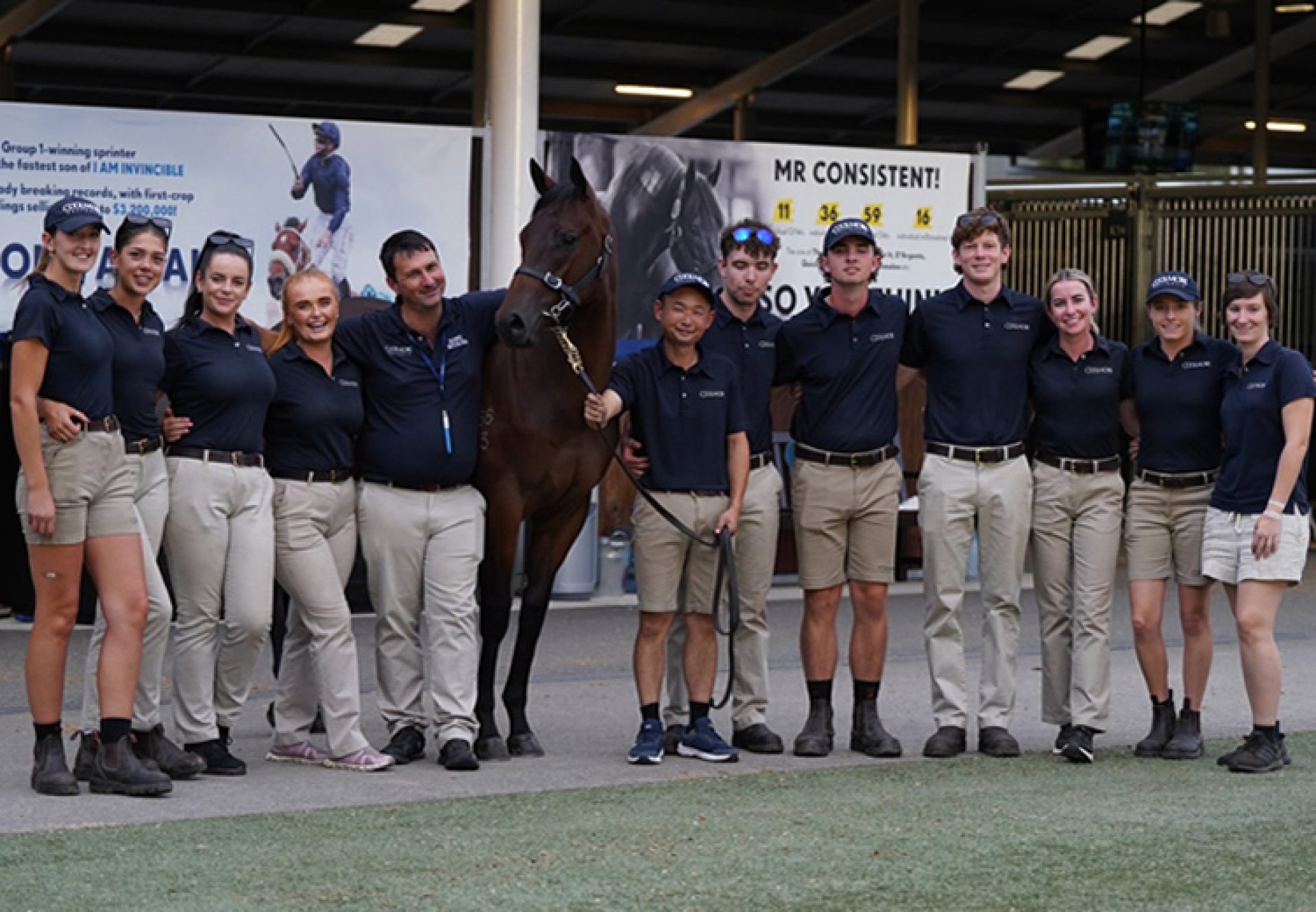 Home Affairs X Shout The Bar Sale 750