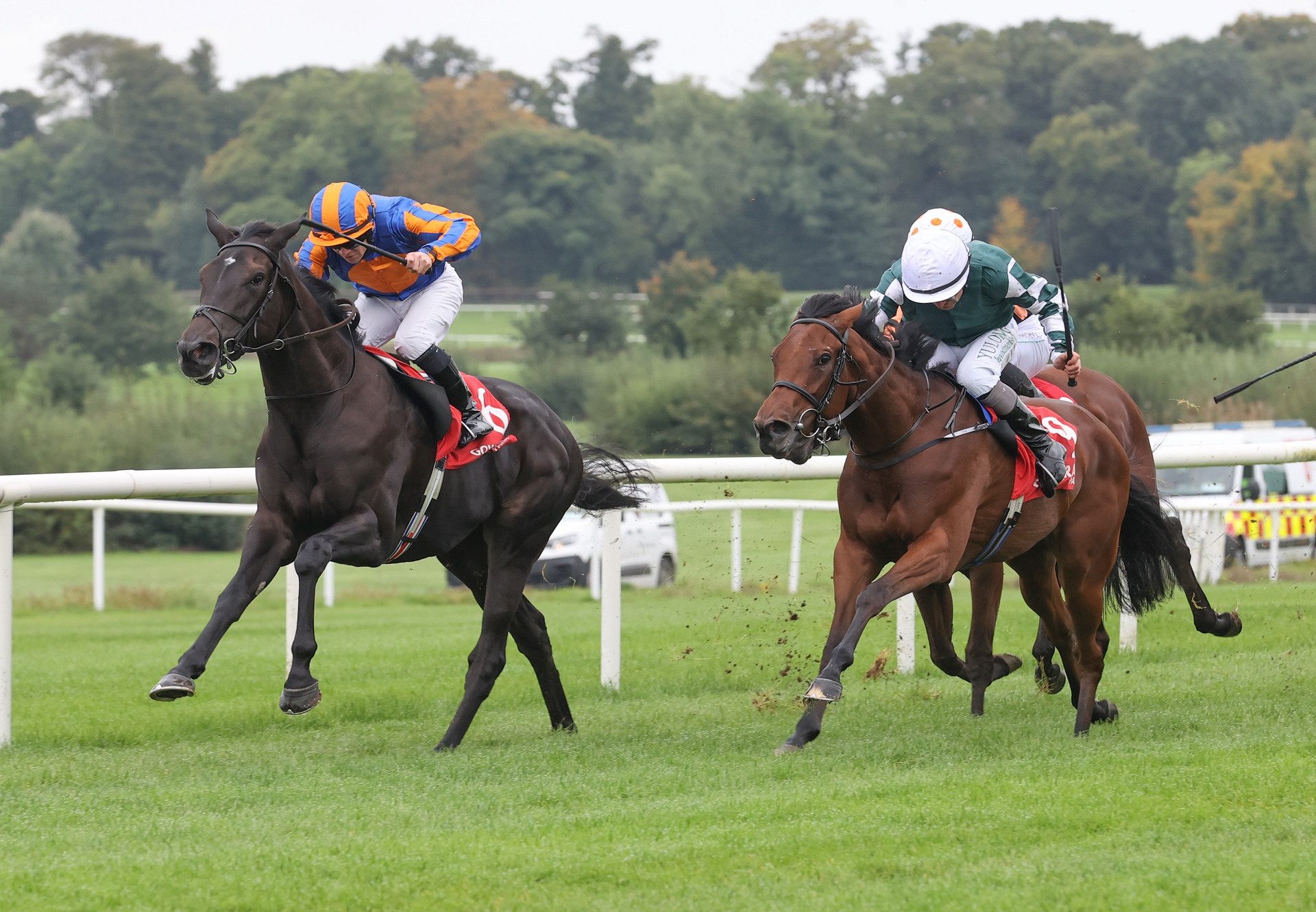 Ice Dancer Wootton Bassett Gowran