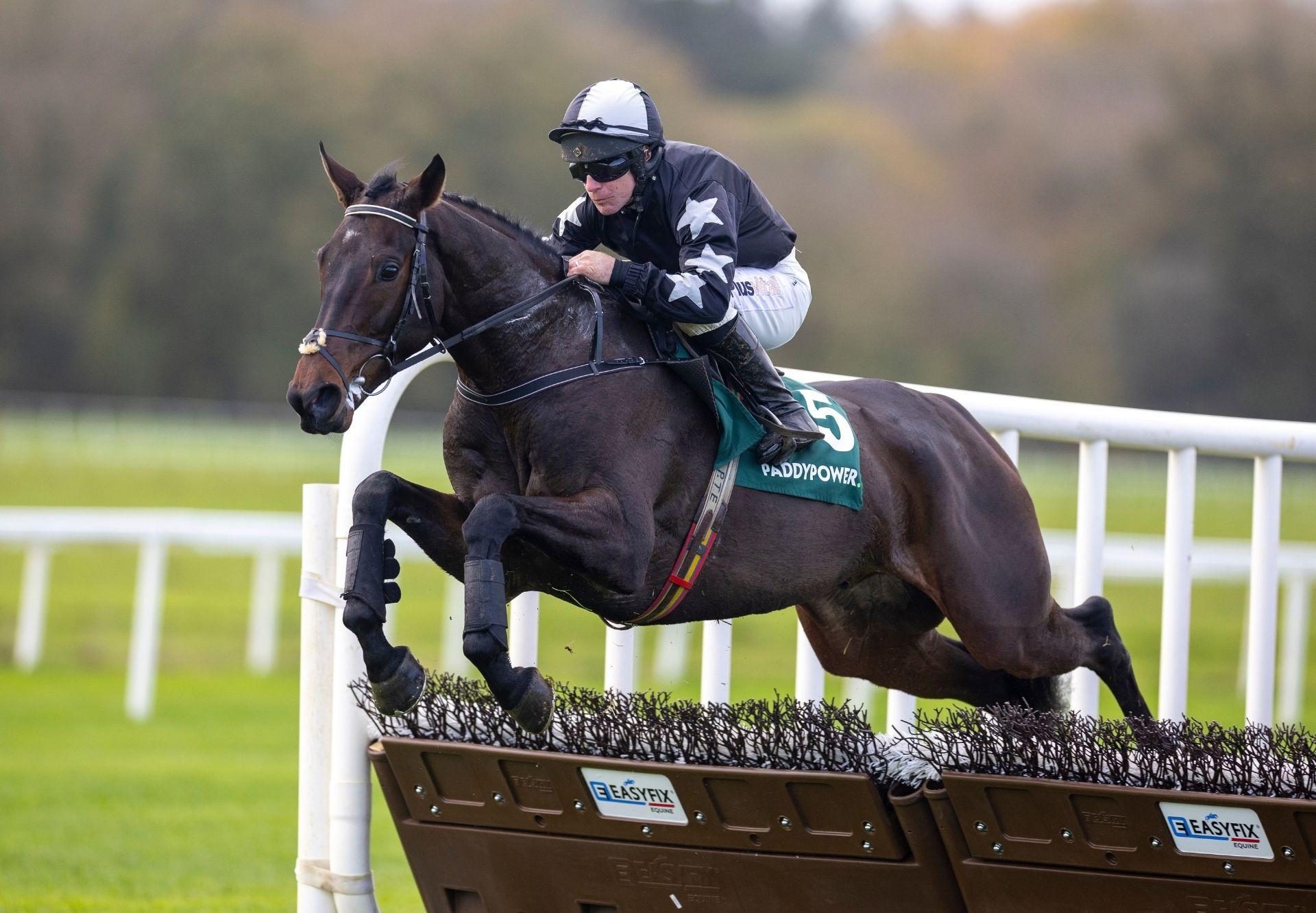 Im Slippy Maxios Cork