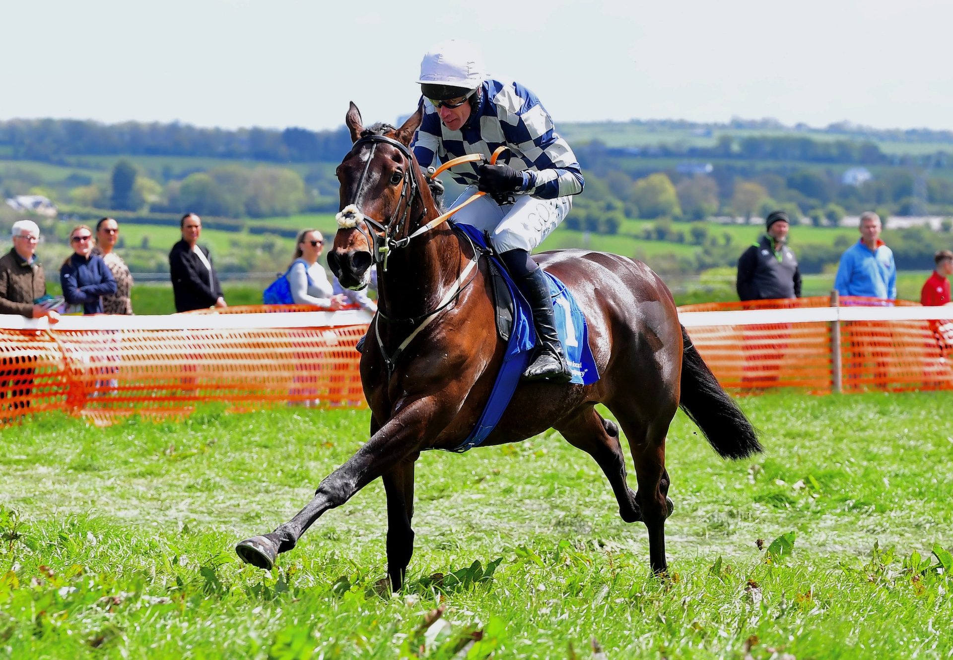 Inishbofin (maxios) Wins The 4 Yo Maiden At Dawstown