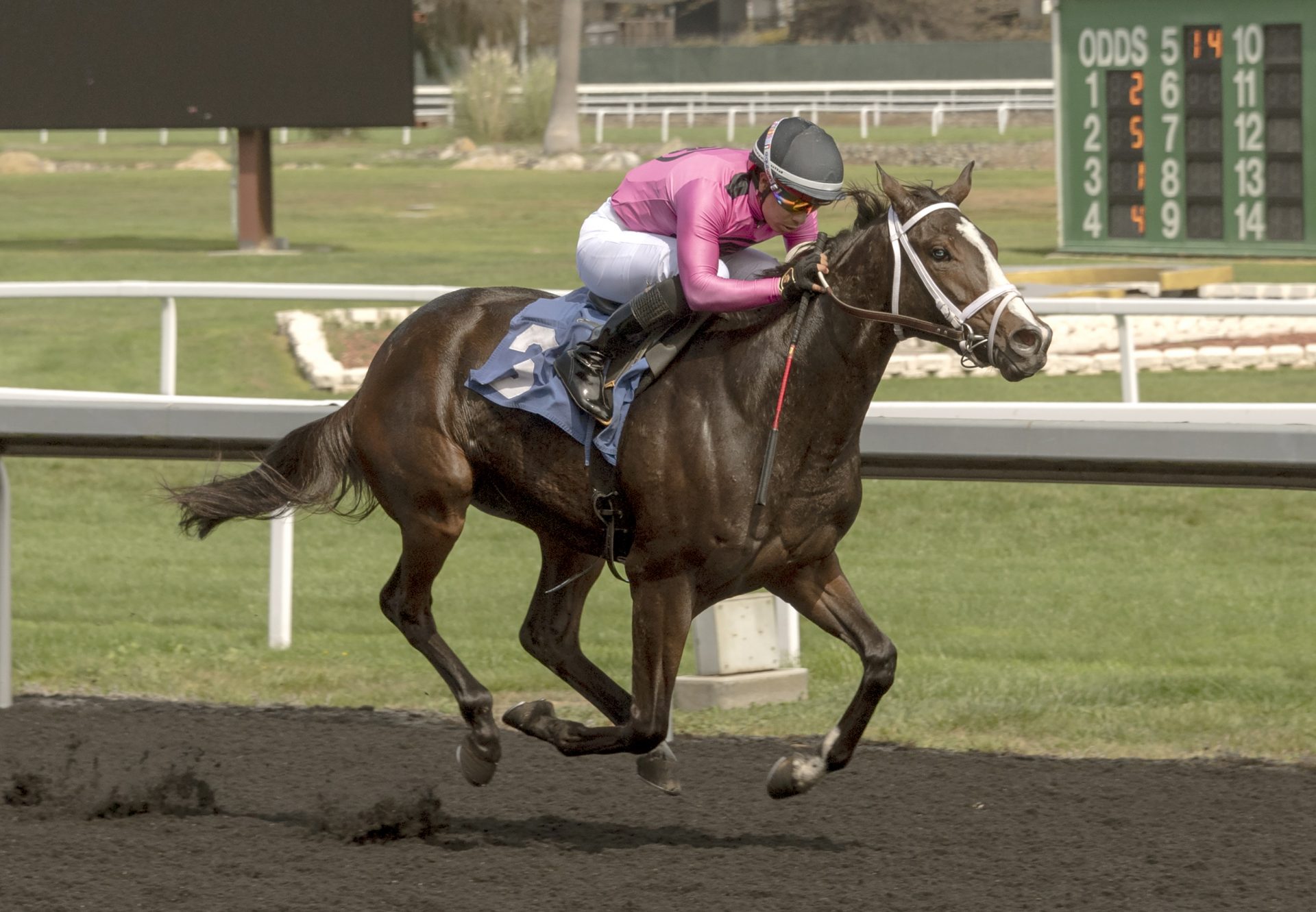 Into Classic (Classic Empire) Wins Golden Gate Maiden