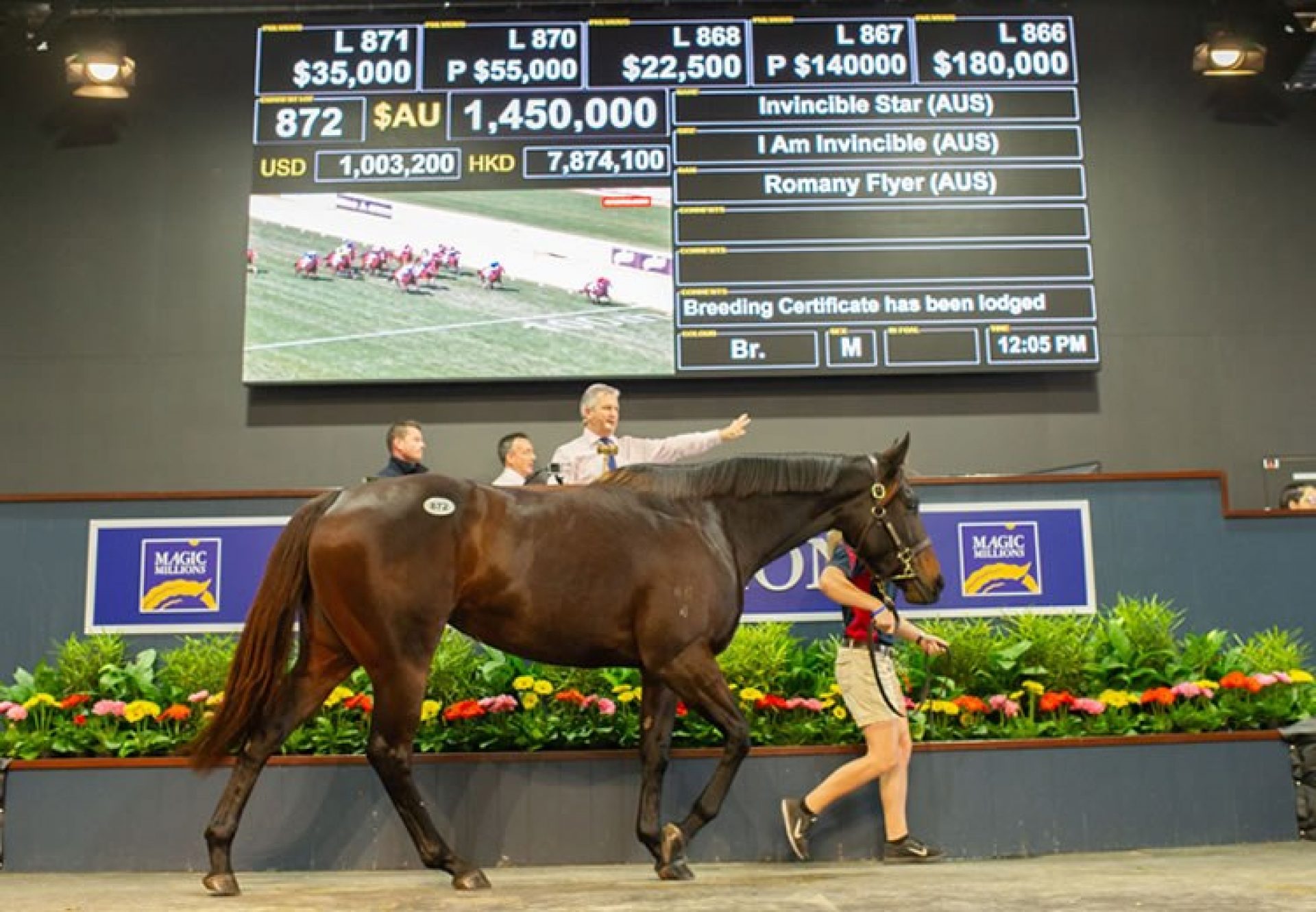 Invinclible Starring