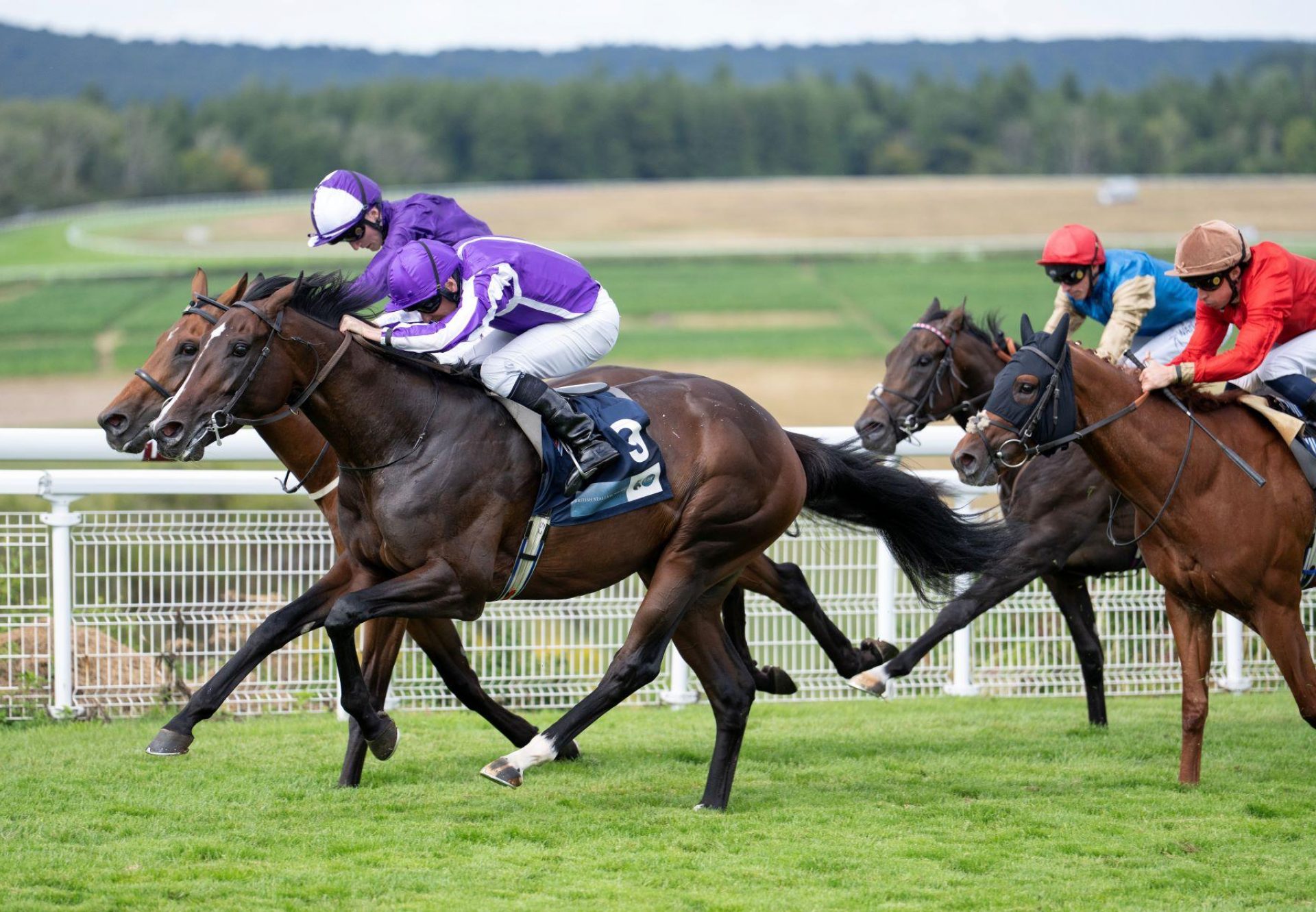 Isaac Newton (Camelot) Goodwood