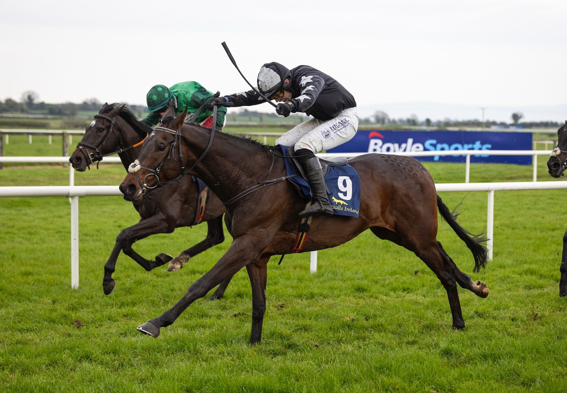 I’M Slippy (Maxios) Wins The George Mernagh Memorial Sales Bumper