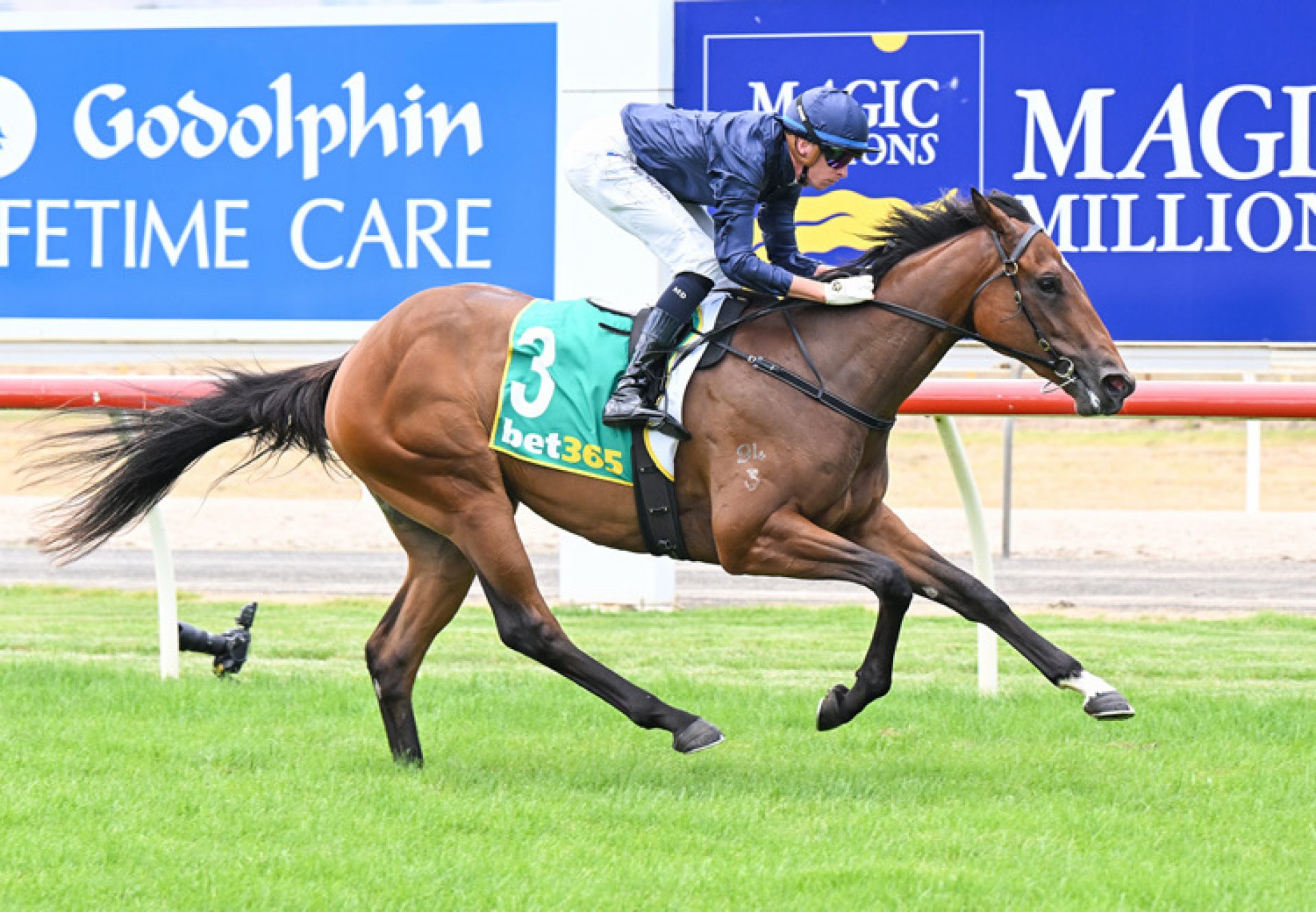 Jacaranda Seymour 750