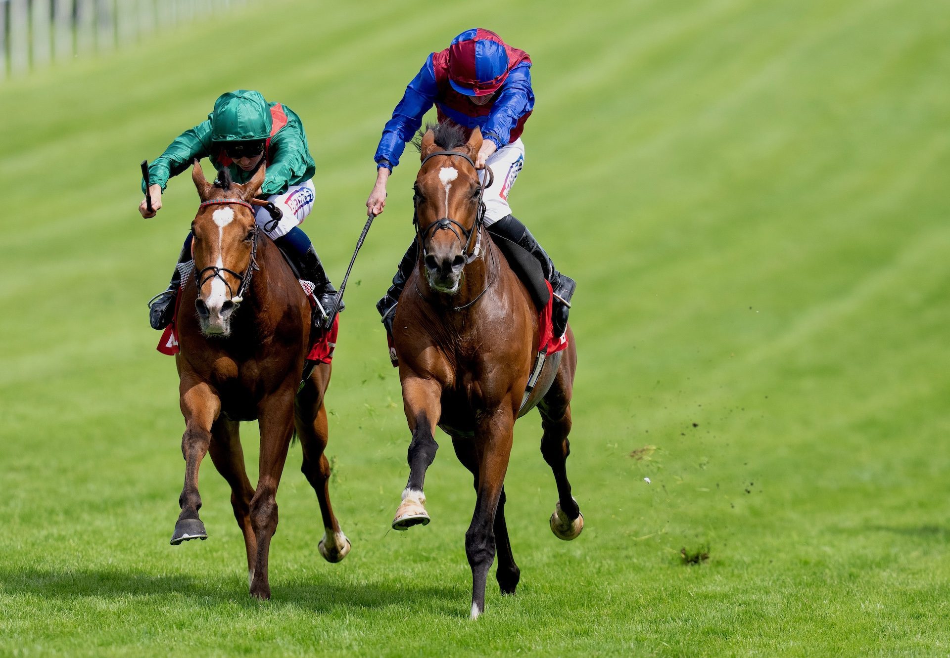 Jan Brueghel Wins The Coronation Cup