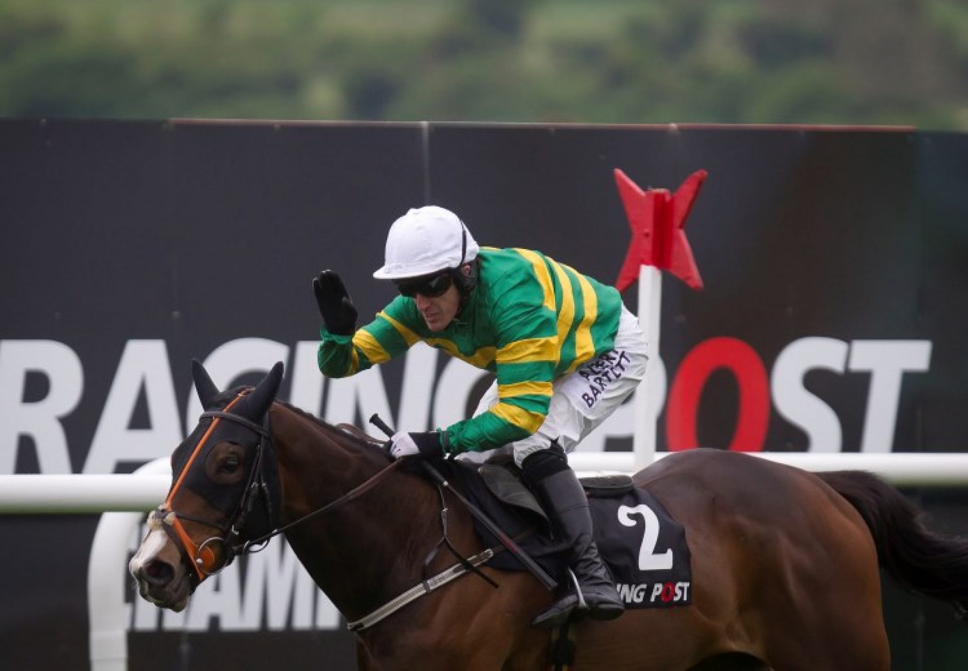 Jezki (Milan) winning the G1 Racing Post Champion Hurdle at Punchestown