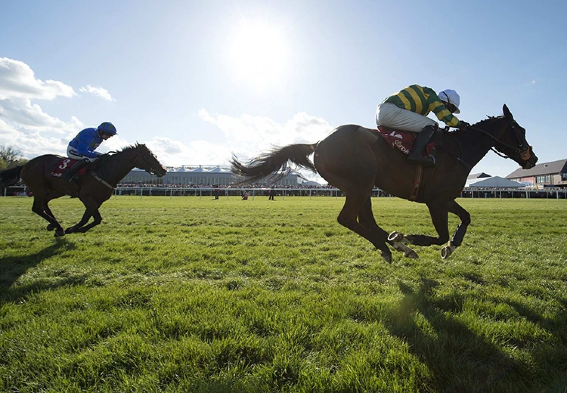 Jezki (Milan) winning the G1 Ladbrokes Series World Hurdle at Punchestown