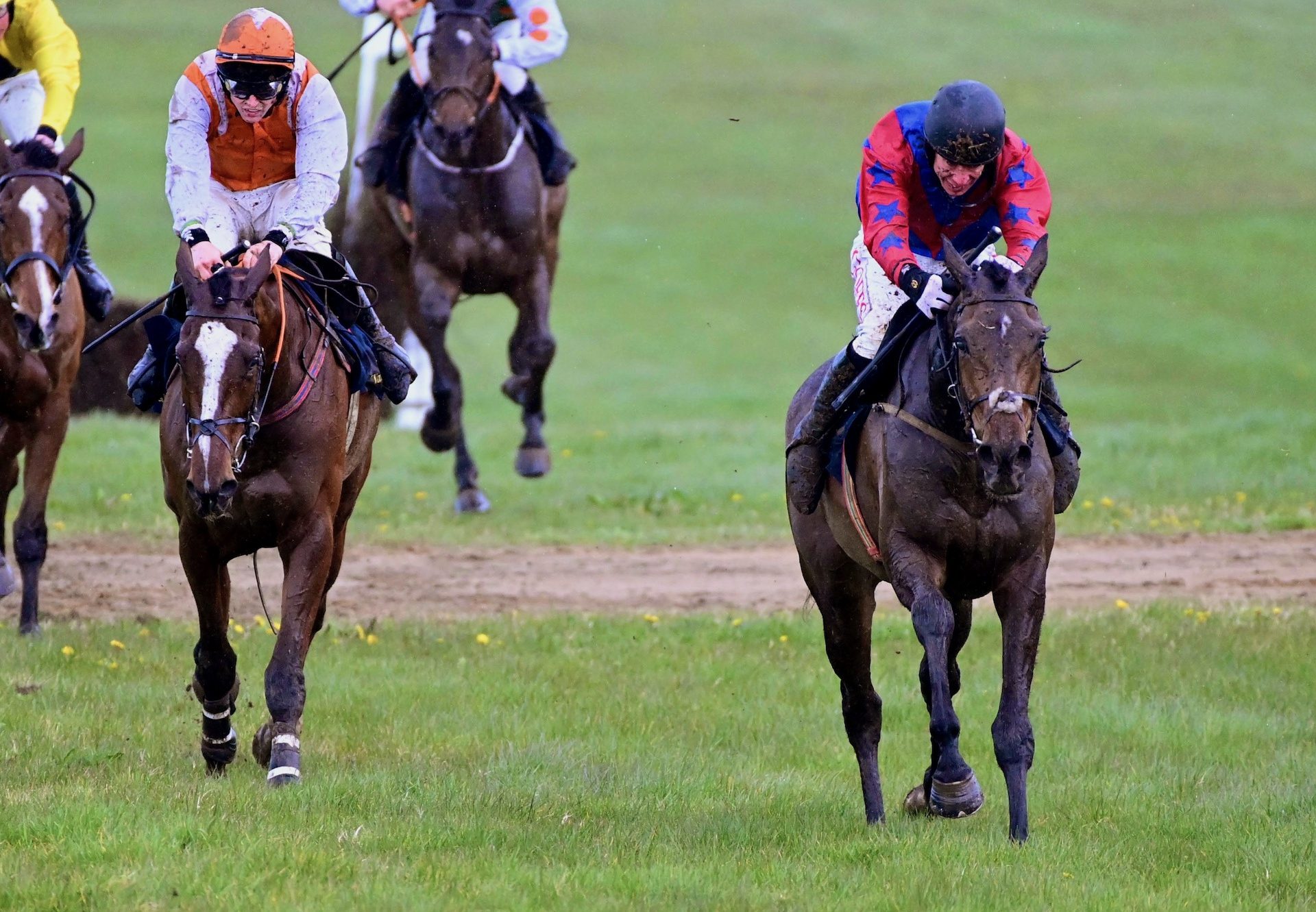 Jig's Force (Westerner) winning the five-year-old geldings maiden point-to-point at Tattersalls.