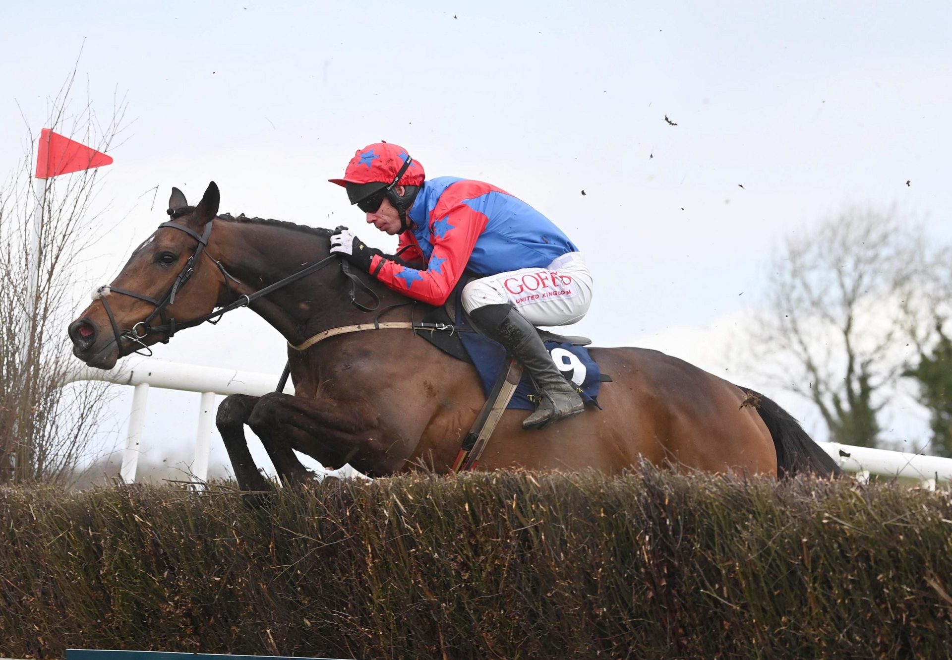 Jig's Force (Westerner) winning the five-year-old geldings maiden point-to-point at Tattersalls.