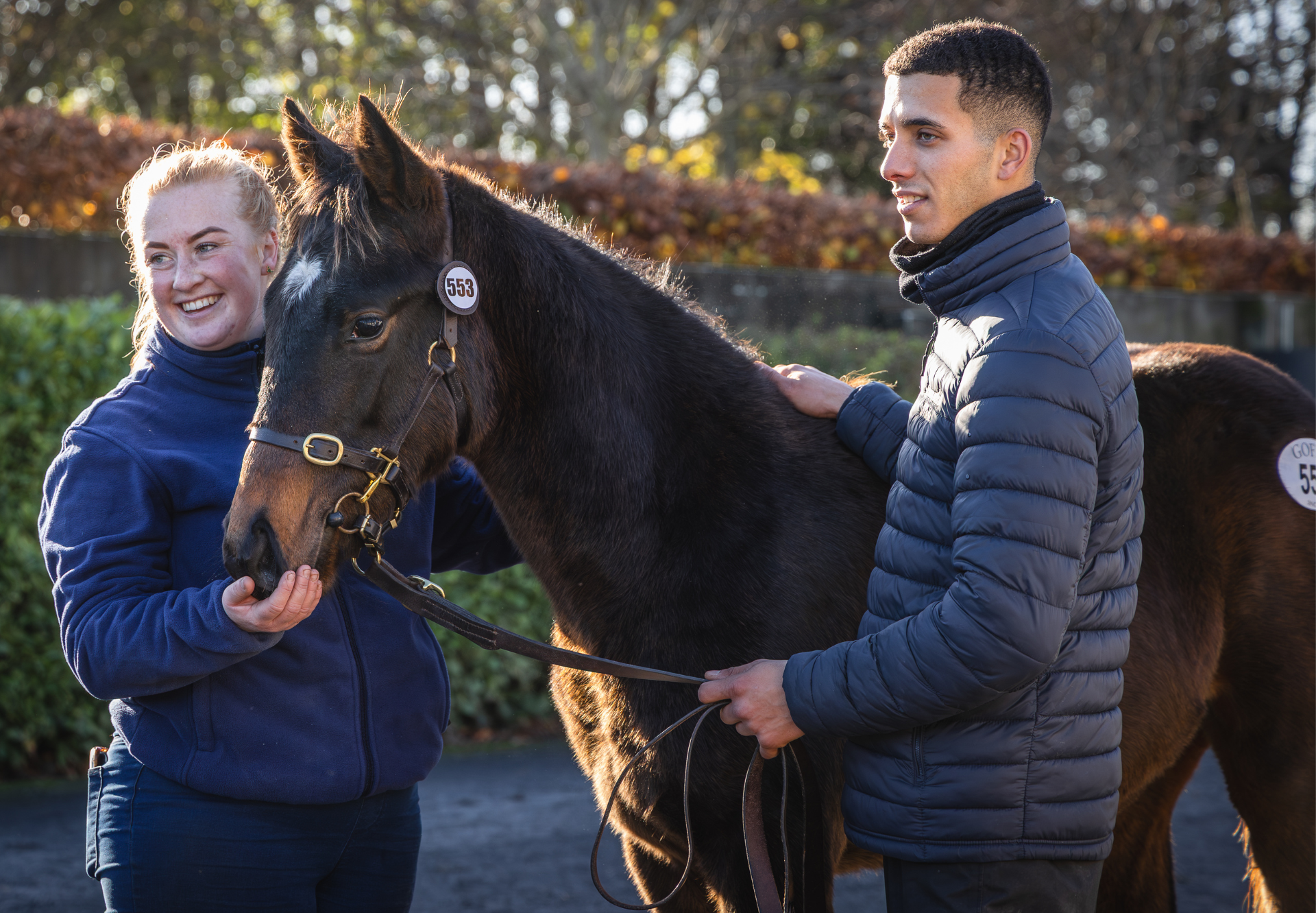 Joey Lyons Gleneagles Foal