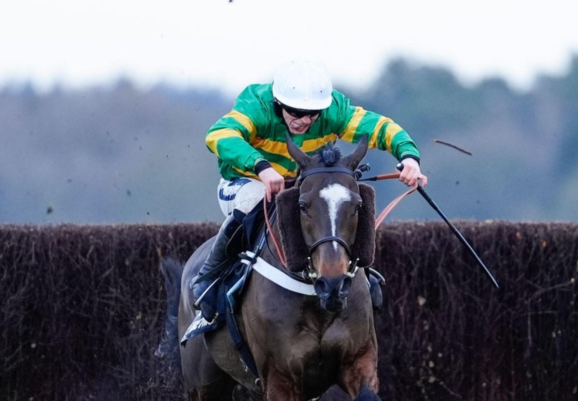 Jonbon Walk In The Park Ascot