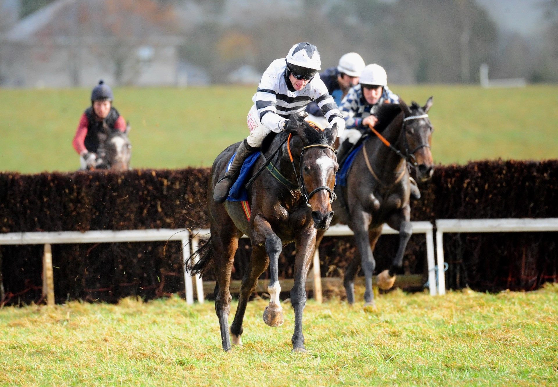 Jonbon (Walk In The Park) Wins The 4YO Maiden At Dromahane
