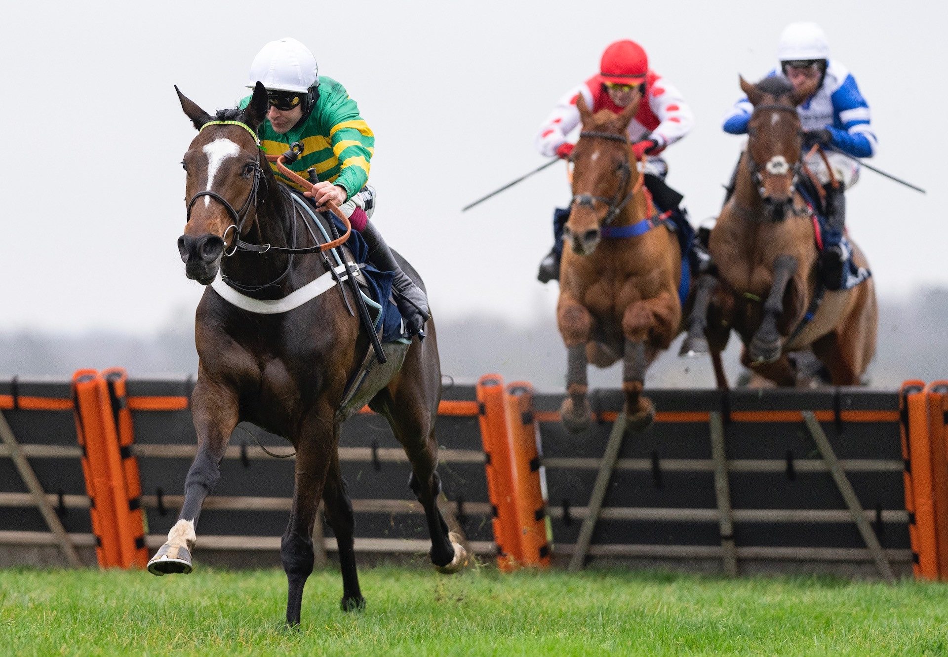 Jonbon (Walk In The Park) Wins The Grade 2 Kennel Gate Novices’ Hurdle At Ascot