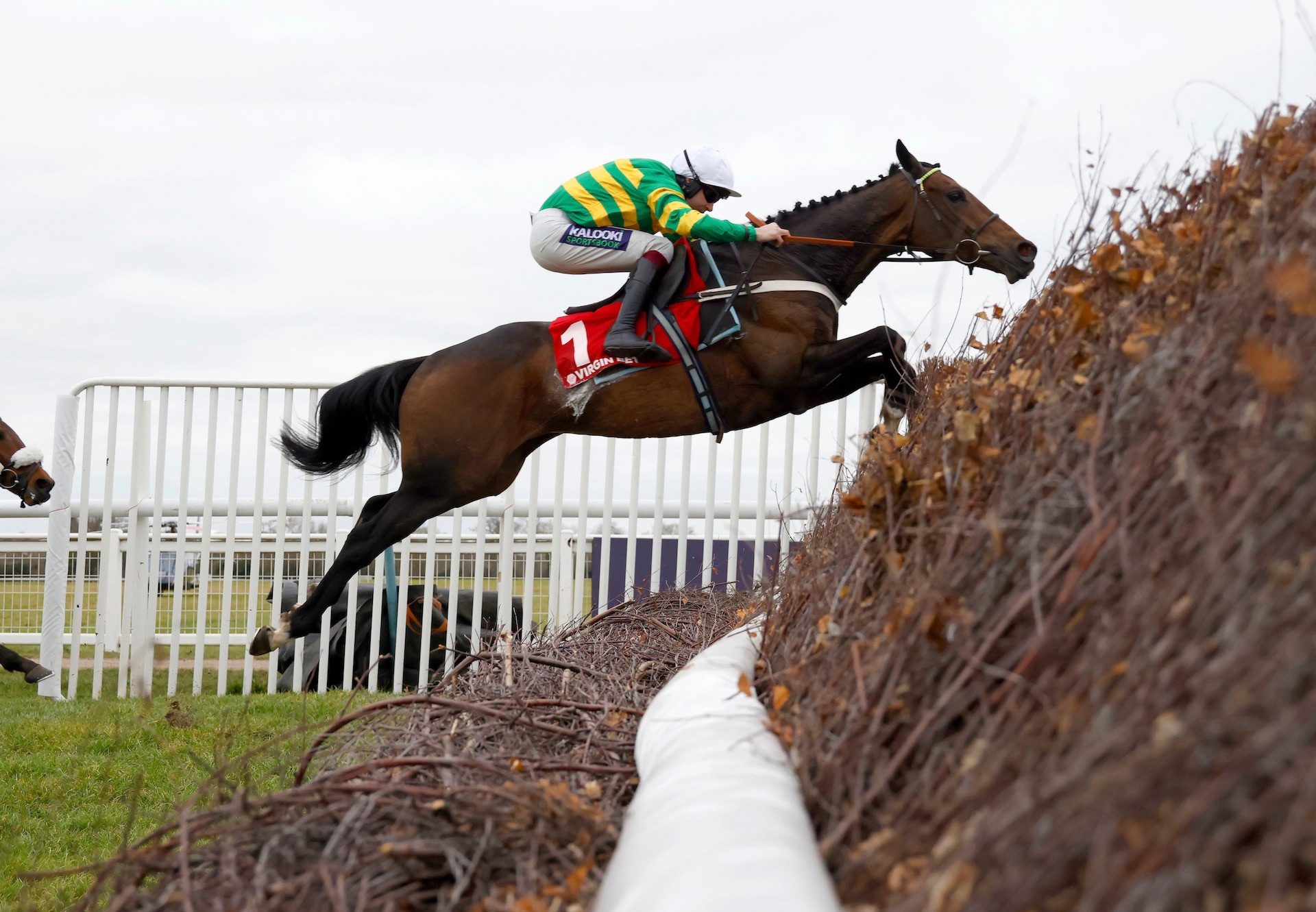 Jonbon (Walk In The Park) Wins The Grade 2 Kingmaker Novices’ Chase At Warwick