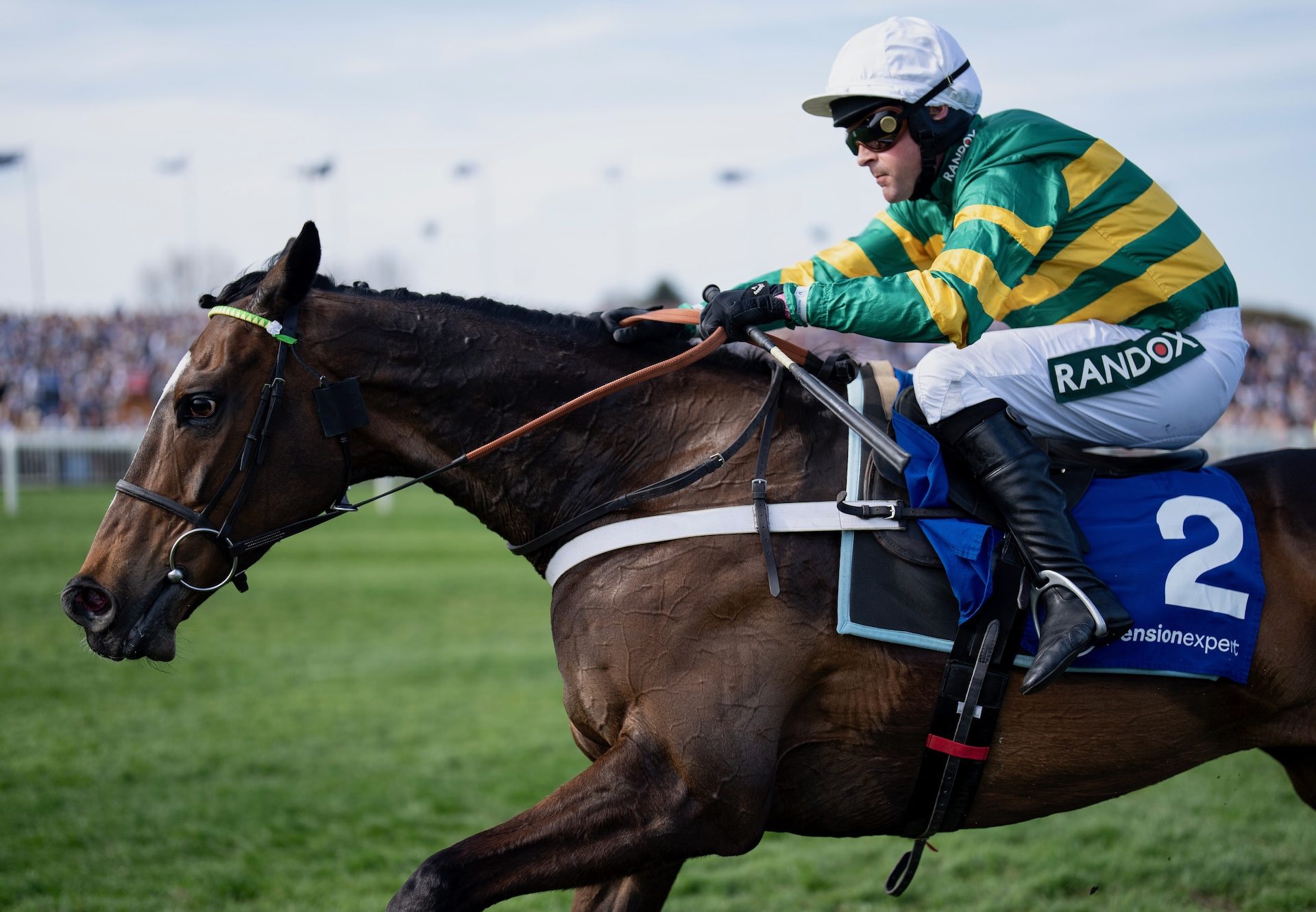 Jonbon (Walk In The Park) Wins The Melling Chase For A Second Time