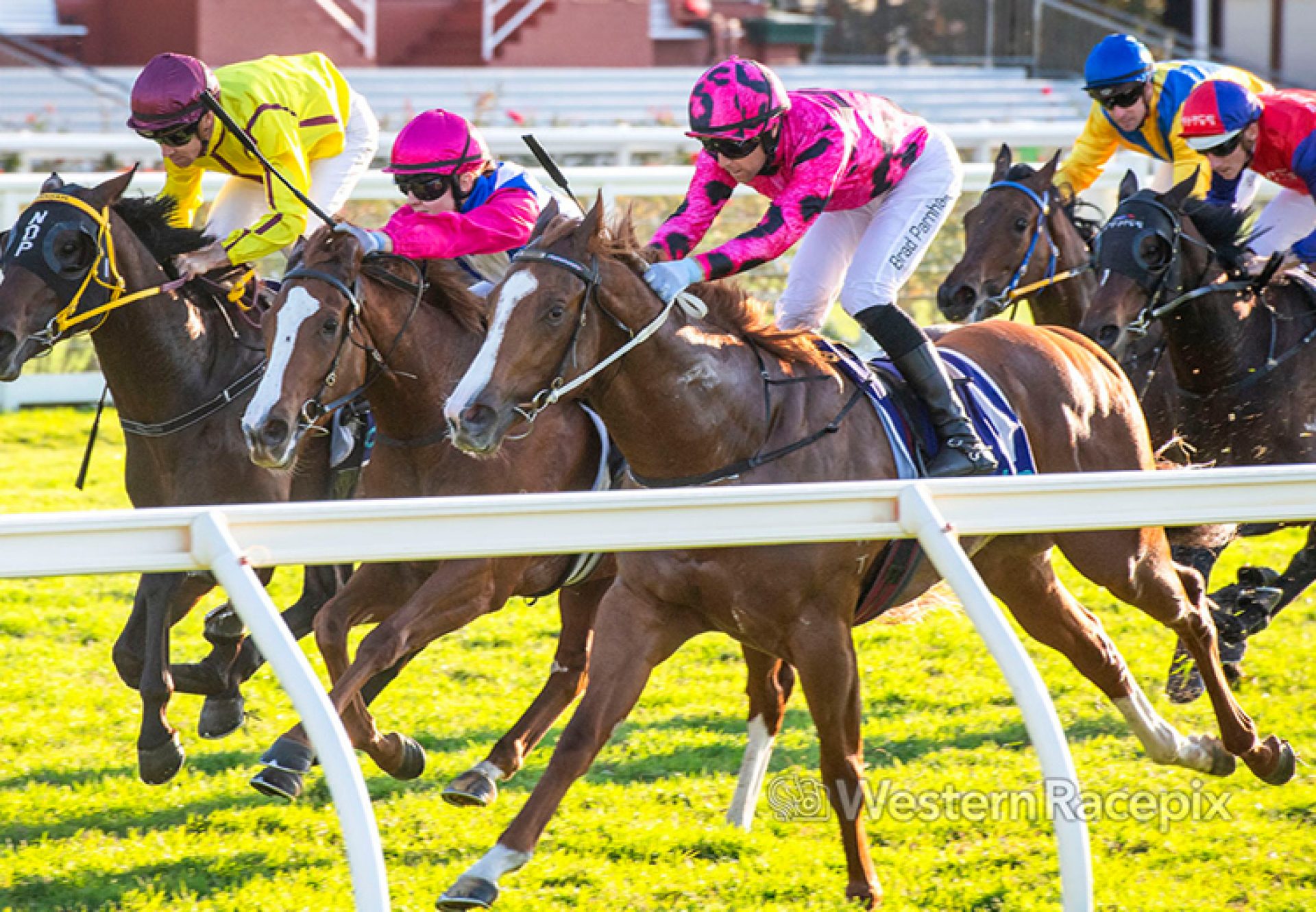 Just Too Fly (justify) Wa Sires 750