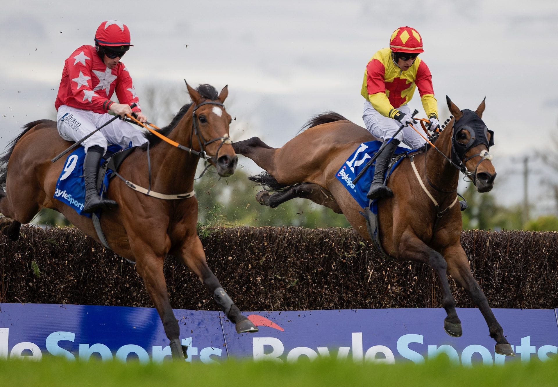 Kiltealy Park (Walk In The Park) Wins Listed Boylesports Mares Handicap Chase