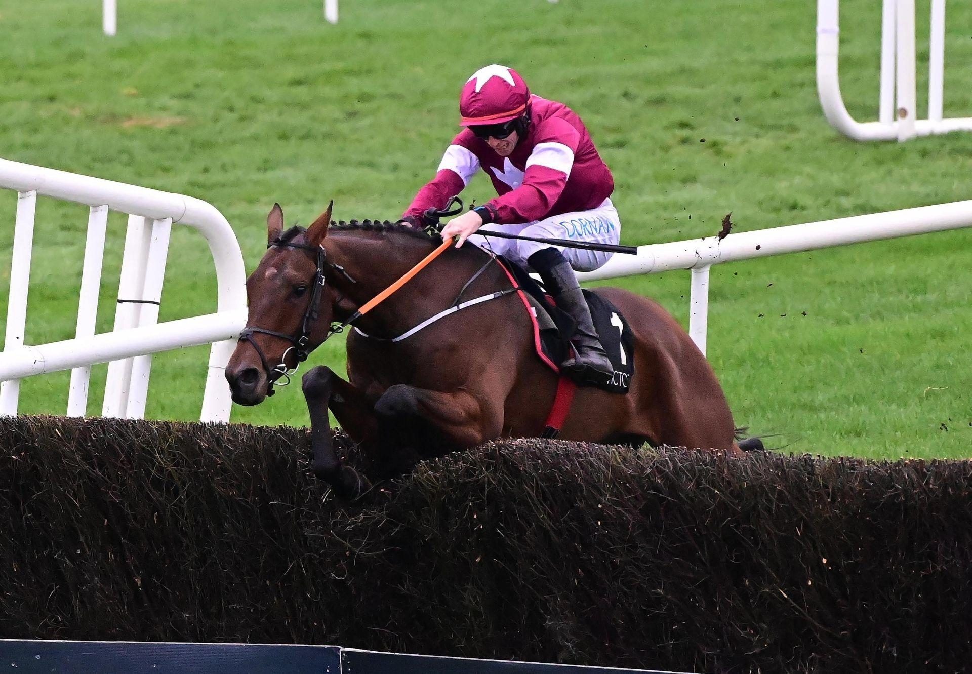 King Of Kingsfield Vadamos Punchestown