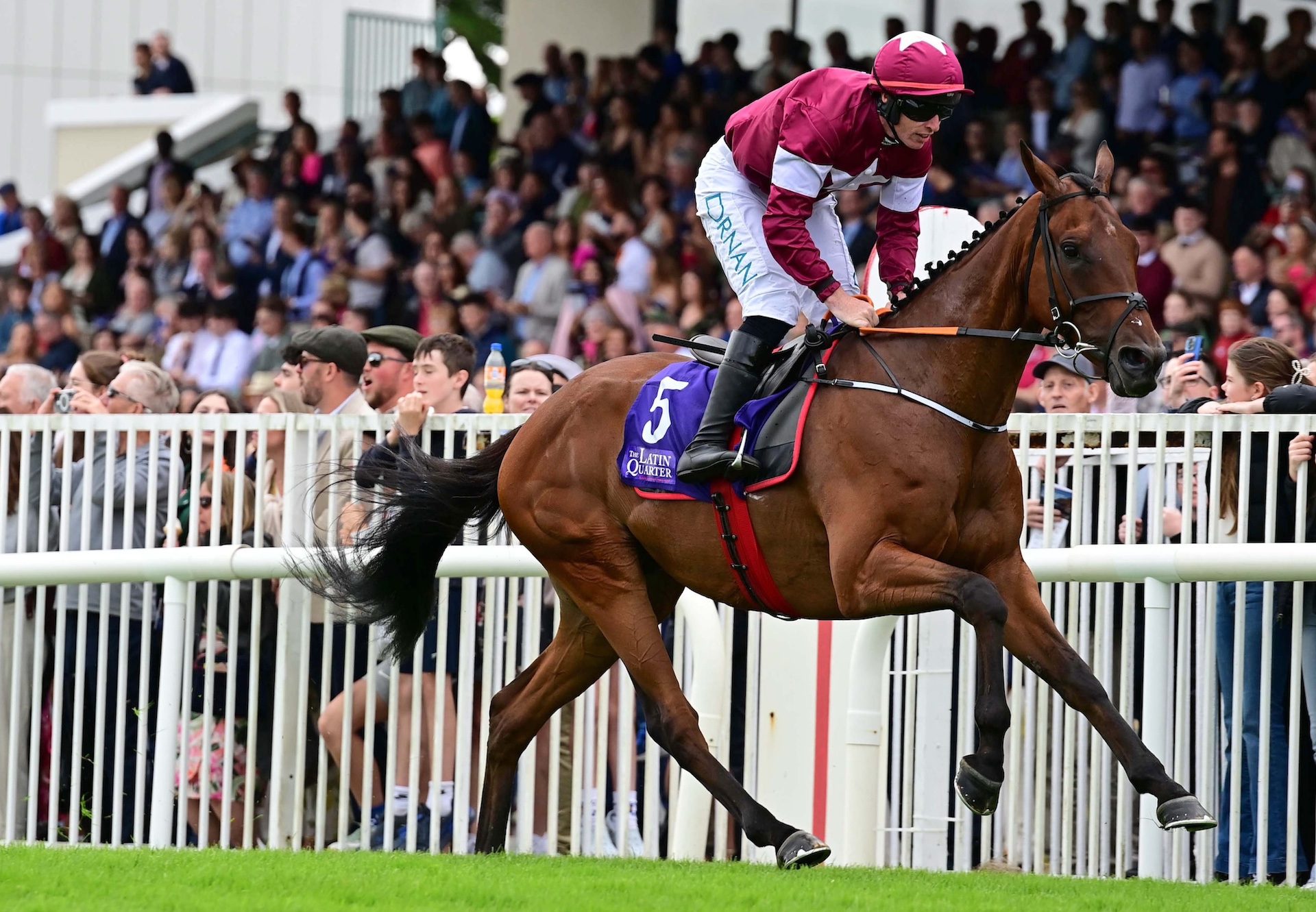 King Of Kingsfield (vadamos) Wins The Beginners Chase At Galway