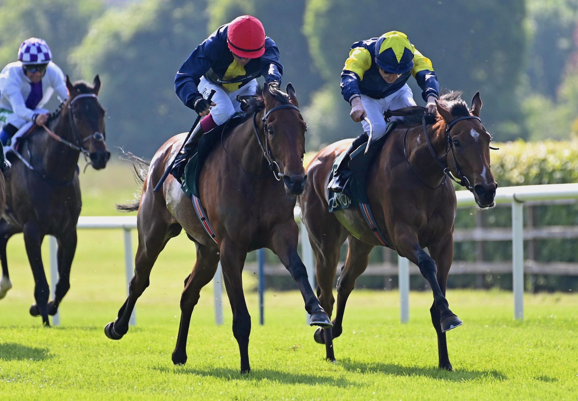 Lady Doris (Churchill) Wins Her Maiden At Navan