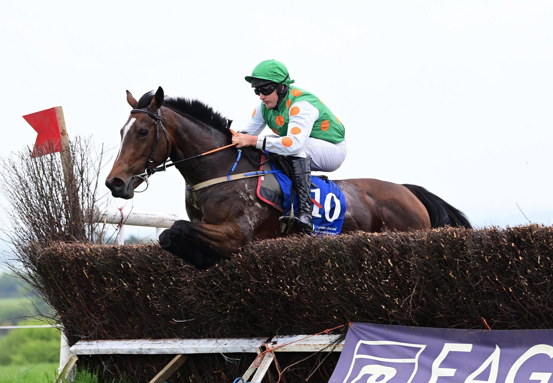 Lady Kluck (Walk In The Park) winning a p2p at Bartlemy