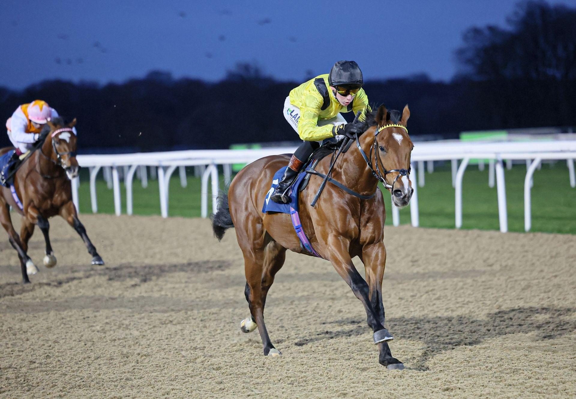 Lake Como St Mark’S Basilica Newcastle