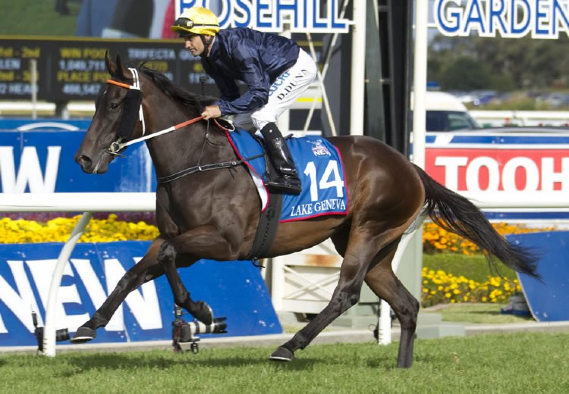 Lake Geneva (Fastnet Rock)